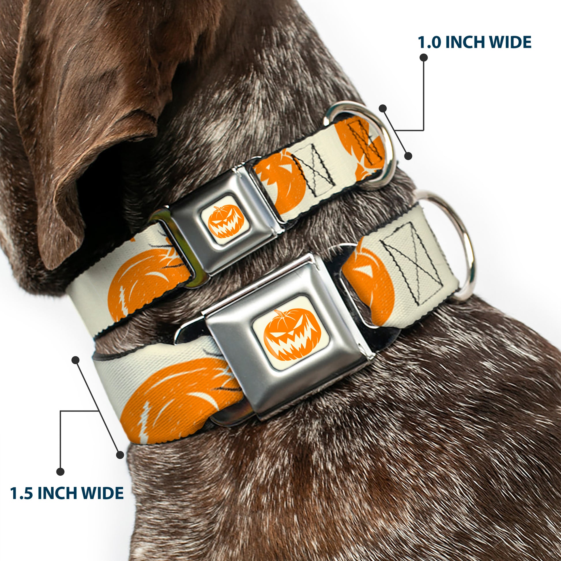 The Nightmare Before Christmas Pumpkin Ivory/Orange Seatbelt Buckle Collar - The Nightmare Before Christmas Jack Pose and Pumpkins Collage Ivory/Orange/Black Seatbelt Buckle Collars Disney