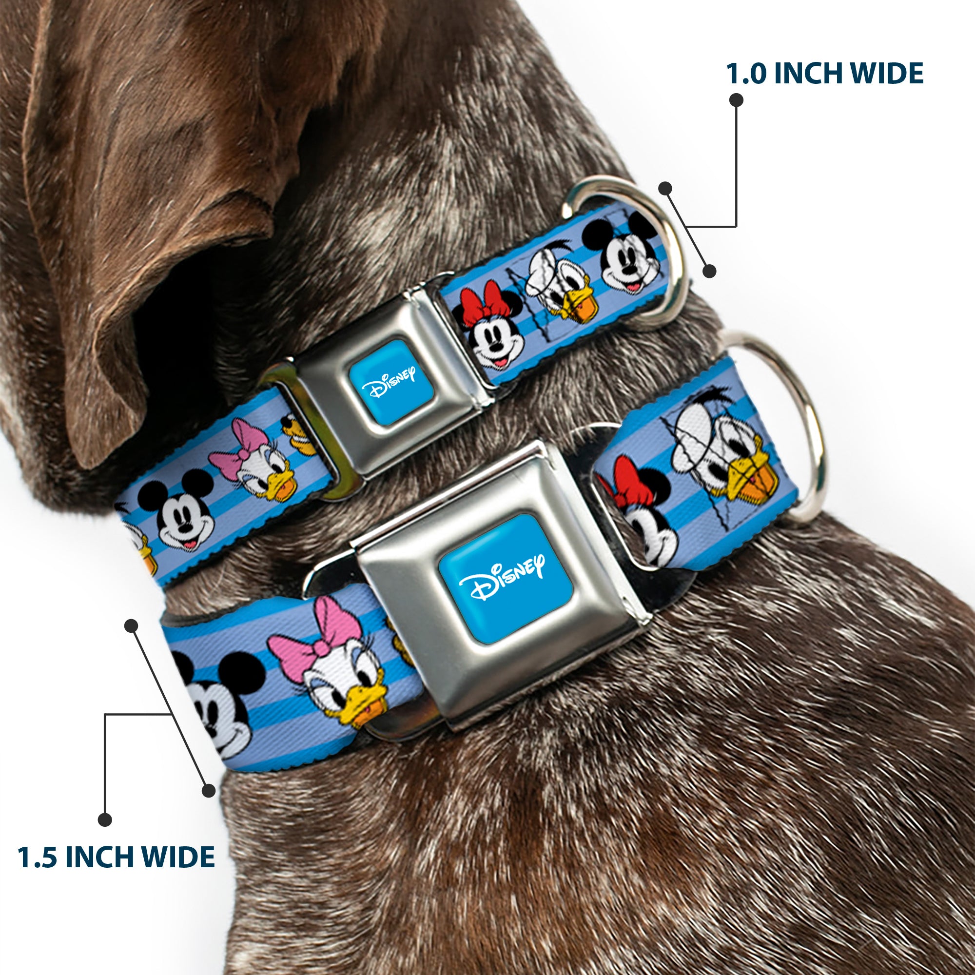 DISNEY Signature Full Color Blue/White Seatbelt Buckle Collar - Disney The Sensational Six Smiling Faces Stripe Blues Seatbelt Buckle Collars Disney