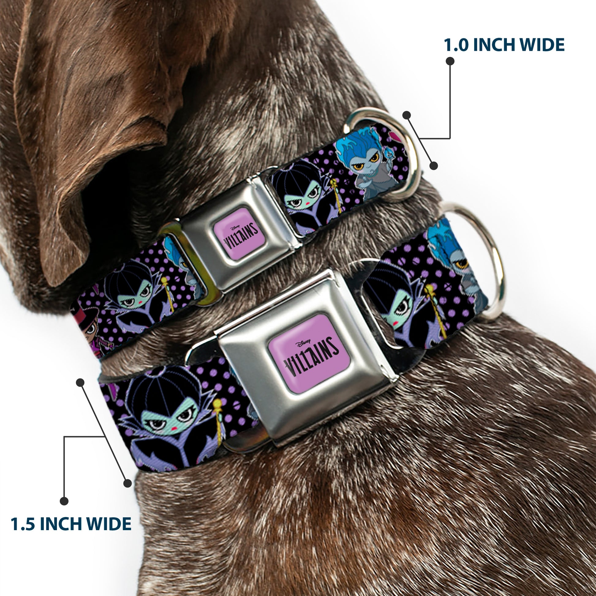 DISNEY VILLAINS Text Full Color Lavender/Black Seatbelt Buckle Collar - Disney 11-Sweet Chibi Villain Poses Polka Dot Black/Lavender Seatbelt Buckle Collars Disney