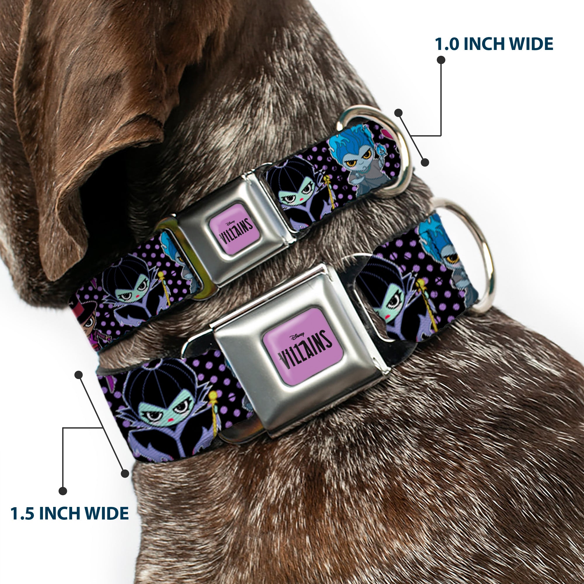 DISNEY VILLAINS Text Full Color Lavender/Black Seatbelt Buckle Collar - Disney 11-Sweet Chibi Villain Poses Polka Dot Black/Lavender Seatbelt Buckle Collars Disney