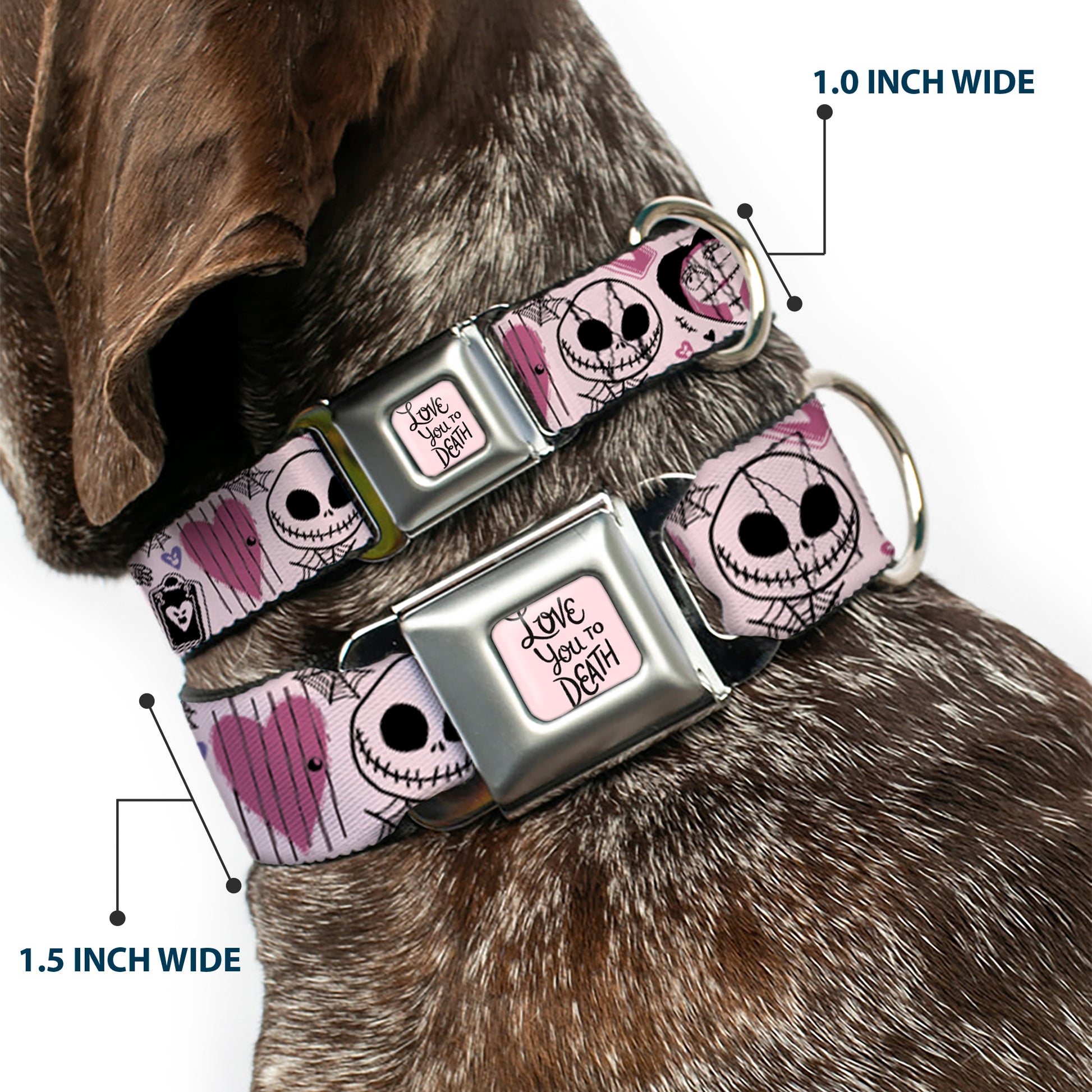 The Nightmare Before Christmas LOVE YOU TO DEATH Full Color Pink/Black Seatbelt Buckle Collar - The Nightmare Before Christmas Jack and Sally Doodles Pinks/Black Seatbelt Buckle Collars Disney