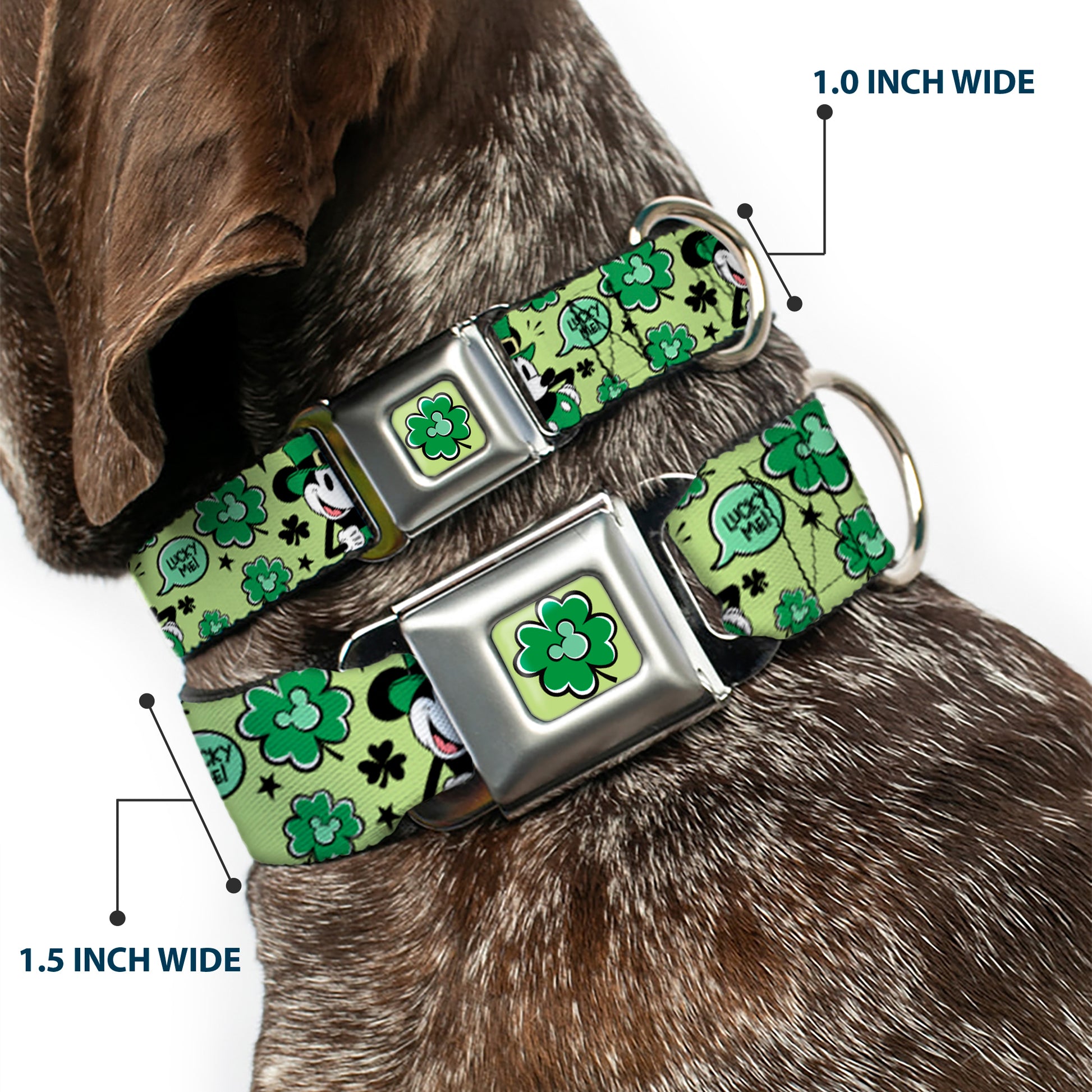 Mickey Mouse St. Patrick's Day Shamrock Full Color Greens Seatbelt Buckle Collar - Mickey Mouse St. Patrick's Day LUCKY ME Leprechaun Pose and Shamrocks Greens Seatbelt Buckle Collars Disney