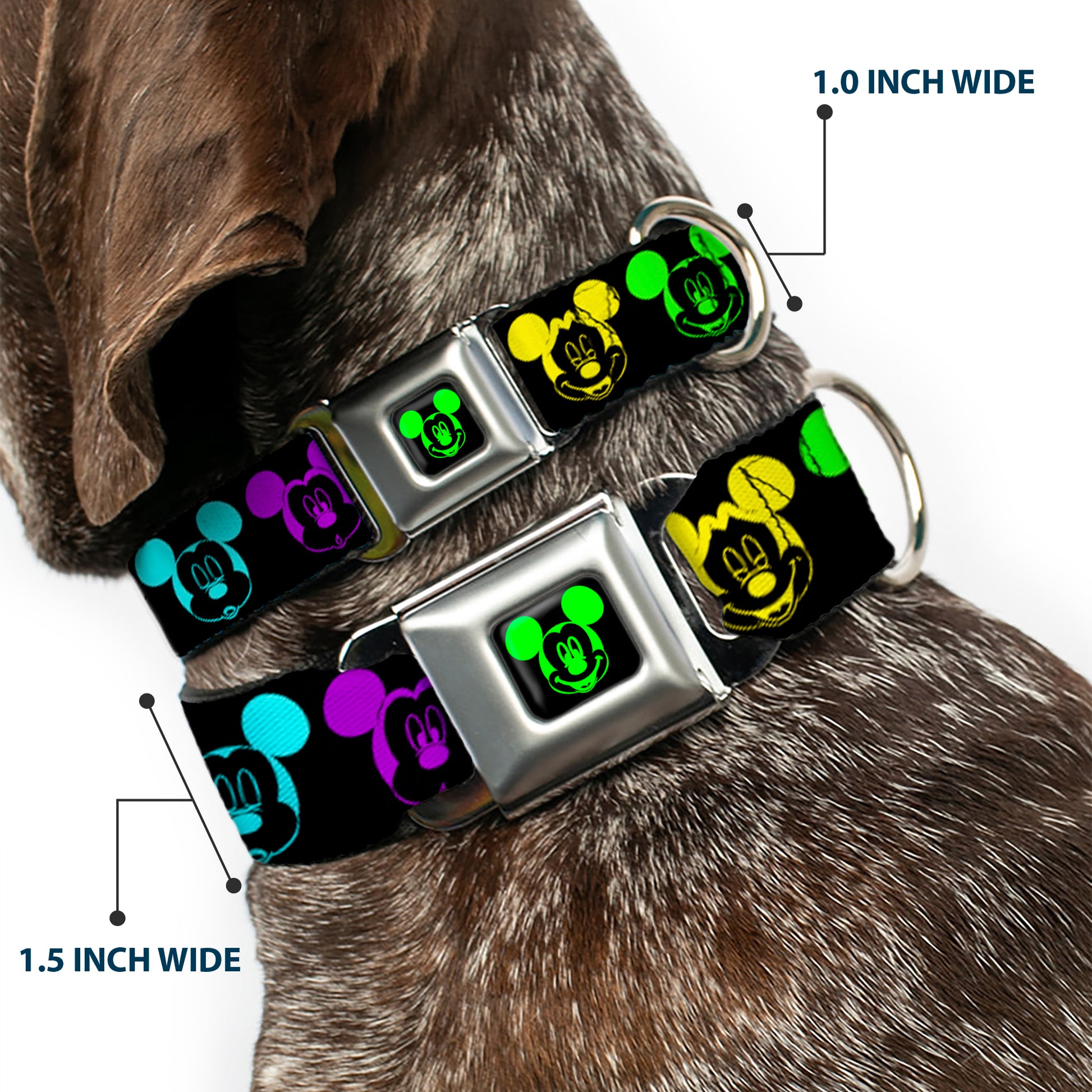 Mickey Mouse Expression2 Full Color Black Neon Green Seatbelt Buckle Collar - Mickey Expressions Black/Multi Neon Seatbelt Buckle Collars Disney