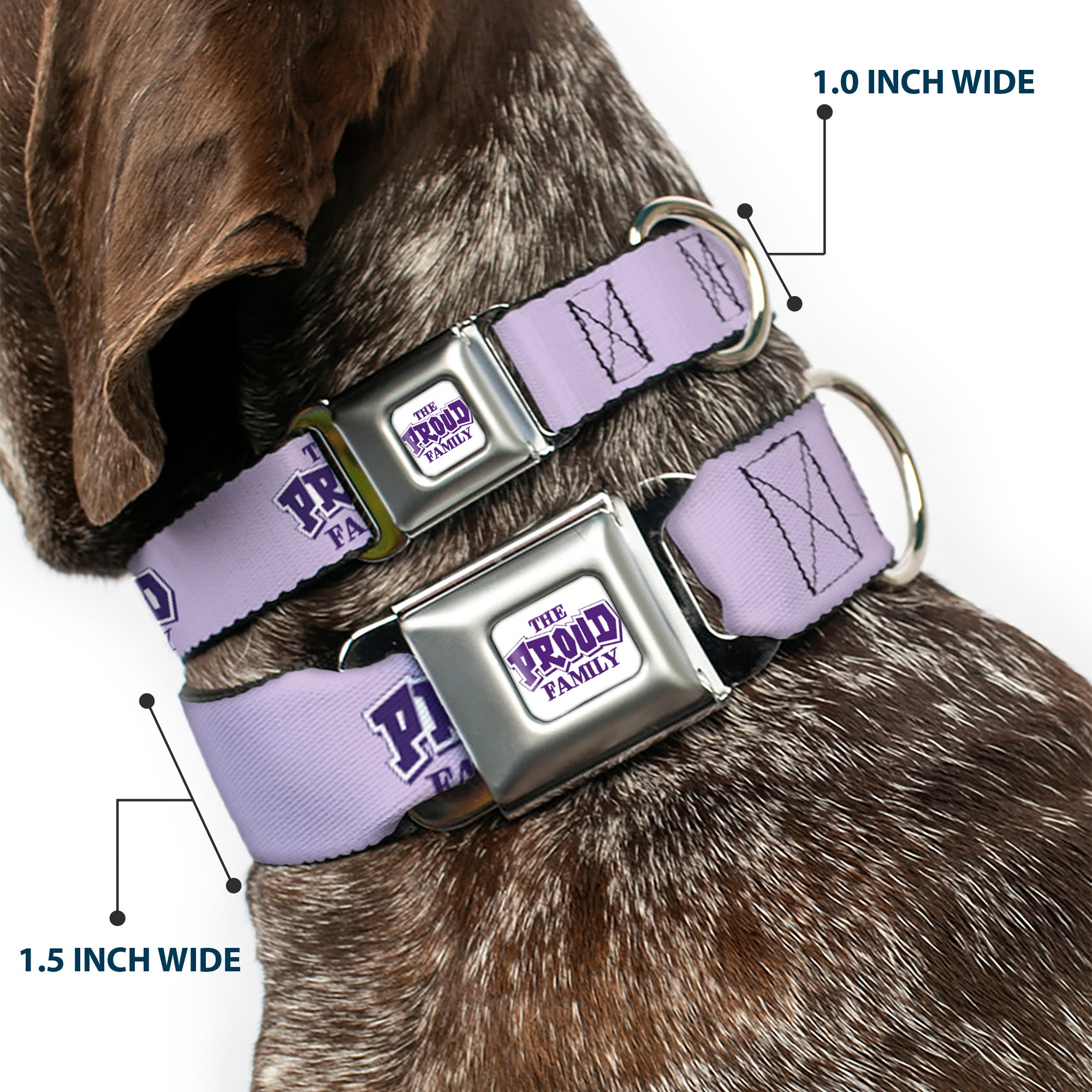 THE PROUD FAMILY Title Logo Full Color White/Purple Seatbelt Buckle Collar - THE PROUD FAMILY Title Logo Purples Seatbelt Buckle Collars Disney