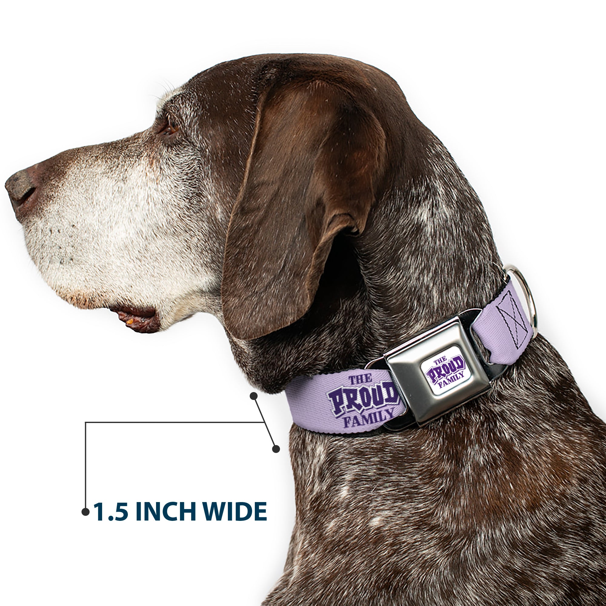 THE PROUD FAMILY Title Logo Full Color White/Purple Seatbelt Buckle Collar - THE PROUD FAMILY Title Logo Purples Seatbelt Buckle Collars Disney