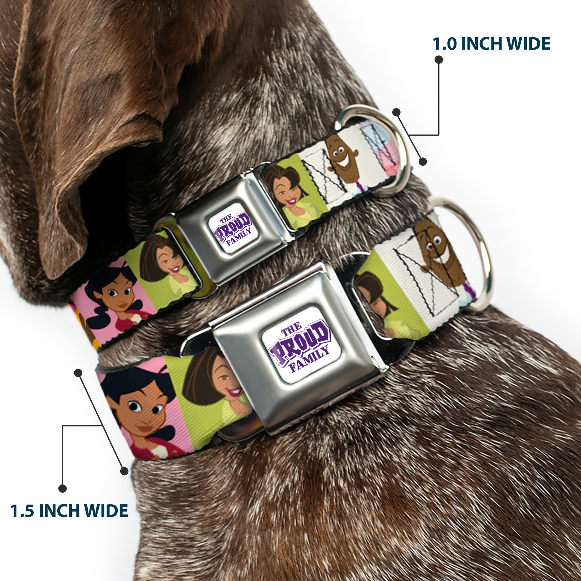 THE PROUD FAMILY Title Logo Full Color White/Purple Seatbelt Buckle Collar - The Proud Family 6-Character Block Poses Seatbelt Buckle Collars Disney