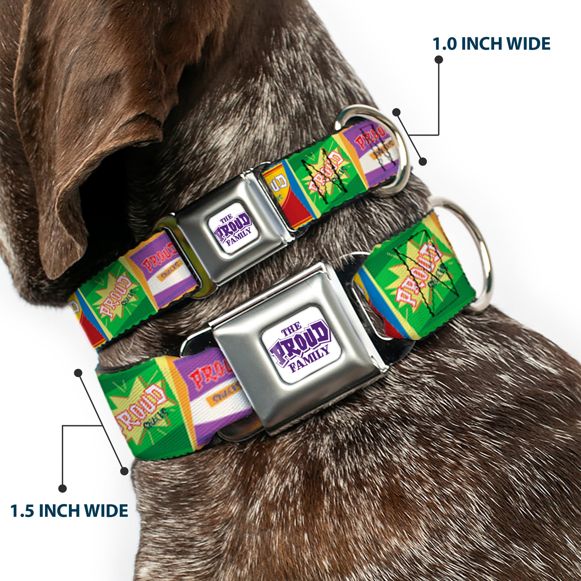 THE PROUD FAMILY Title Logo Full Color White/Purple Seatbelt Buckle Collar - The Proud Family PROUD SNACKS Logo Blocks Multi Color Seatbelt Buckle Collars Disney