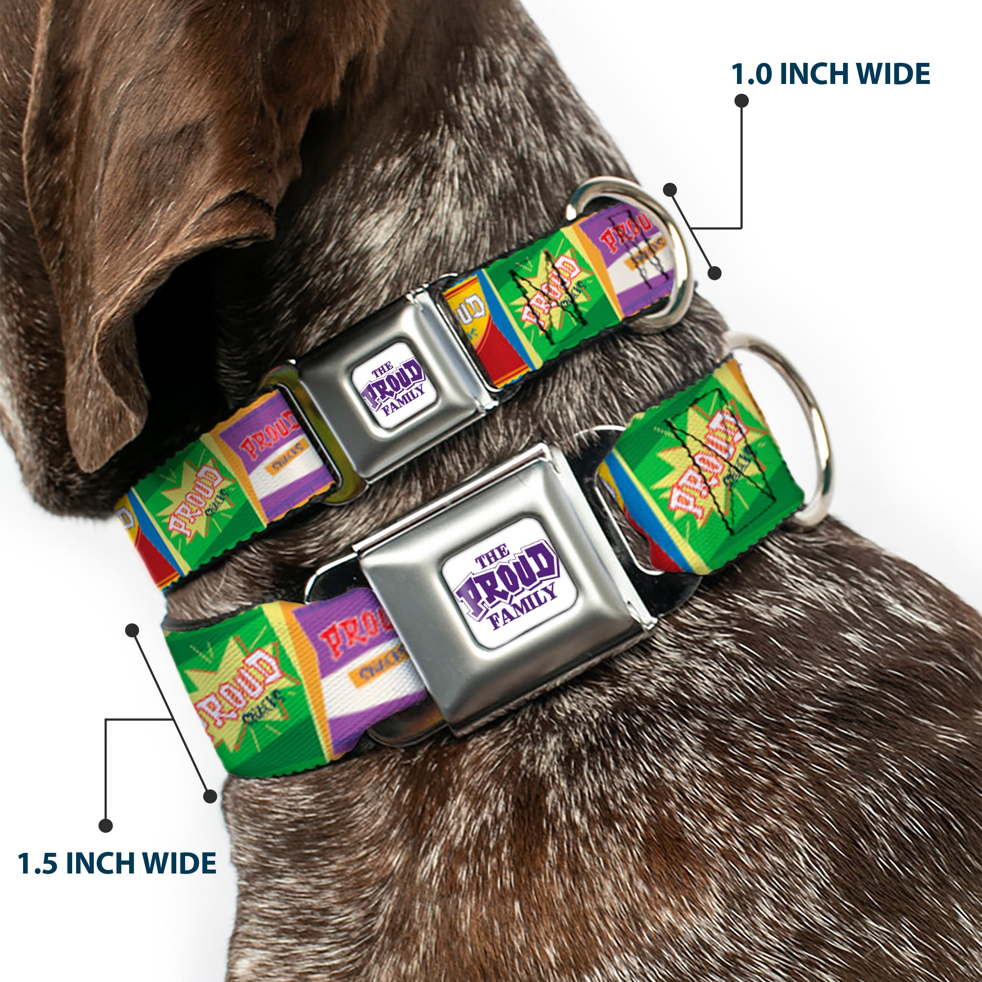 THE PROUD FAMILY Title Logo Full Color White/Purple Seatbelt Buckle Collar - The Proud Family PROUD SNACKS Logo Blocks Multi Color Seatbelt Buckle Collars Disney