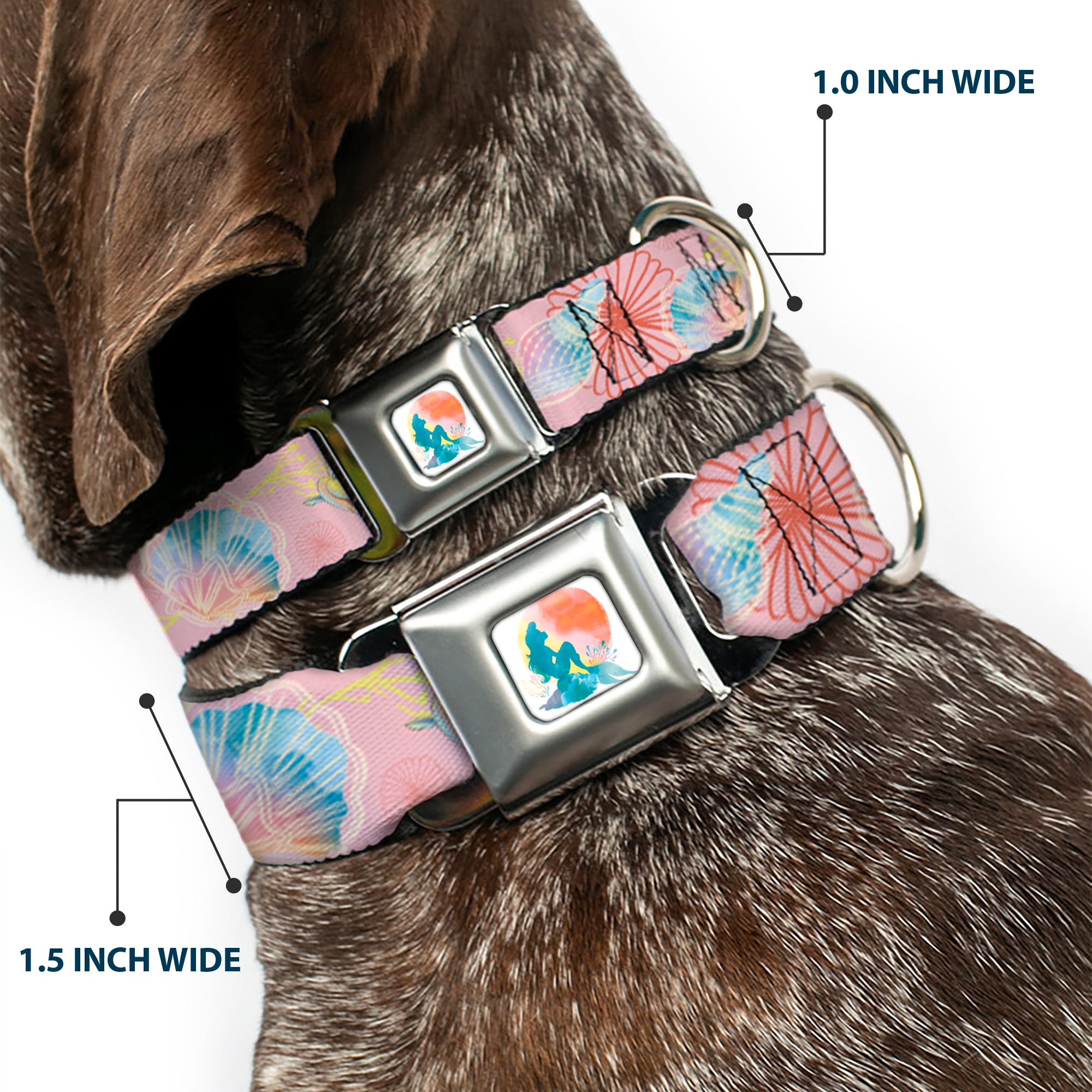 The Little Mermaid Ariel Silhouette Pose Full Color White/Multi Color Seatbelt Buckle Collar - The Little Mermaid Flounder and Sebastian Under the Sea Pinks Seatbelt Buckle Collars Disney