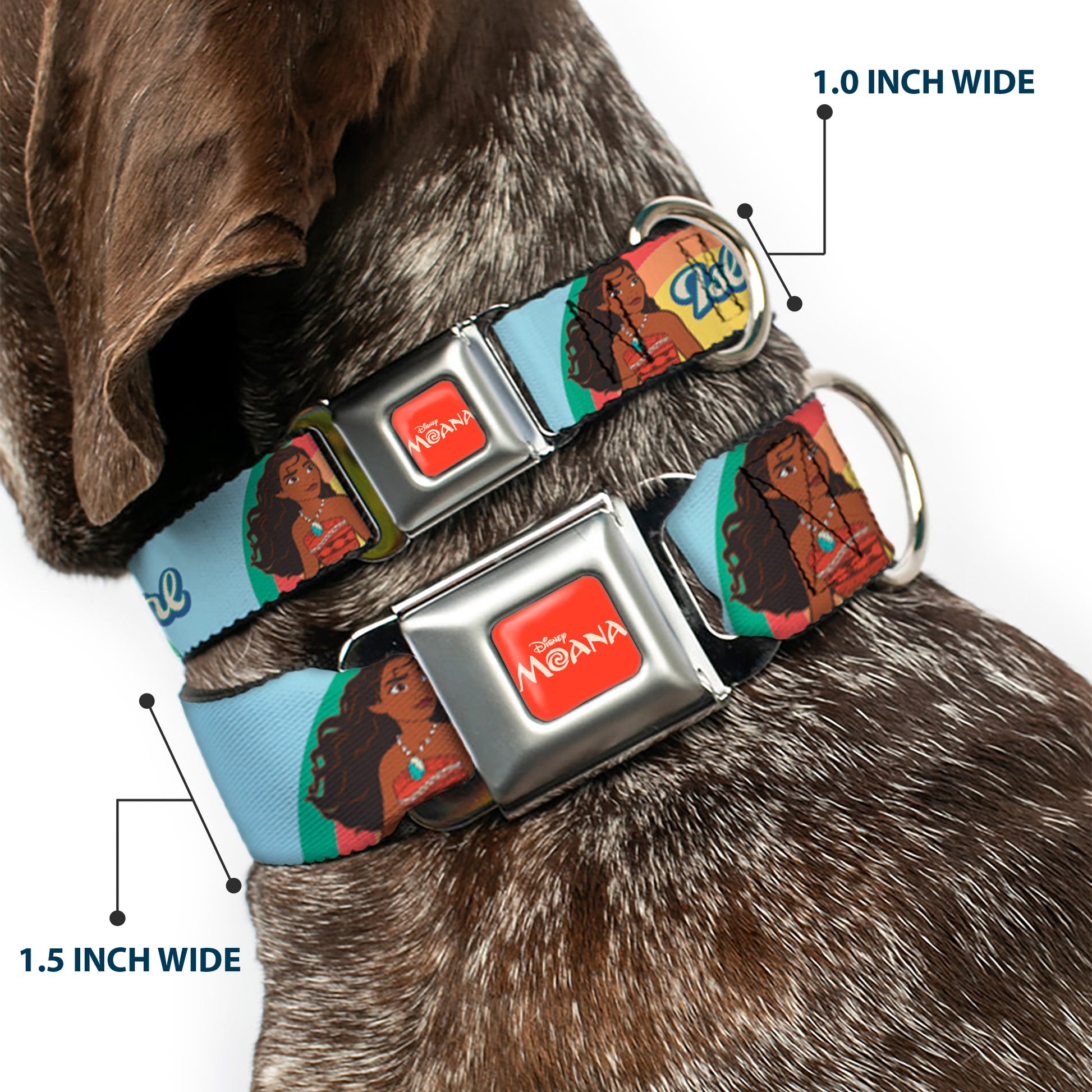 MOANA Title Logo Full Color Orange/White Seatbelt Buckle Collar - Moana ISLAND GIRL Rainbow Pose Blue/Multi Color Seatbelt Buckle Collars Disney