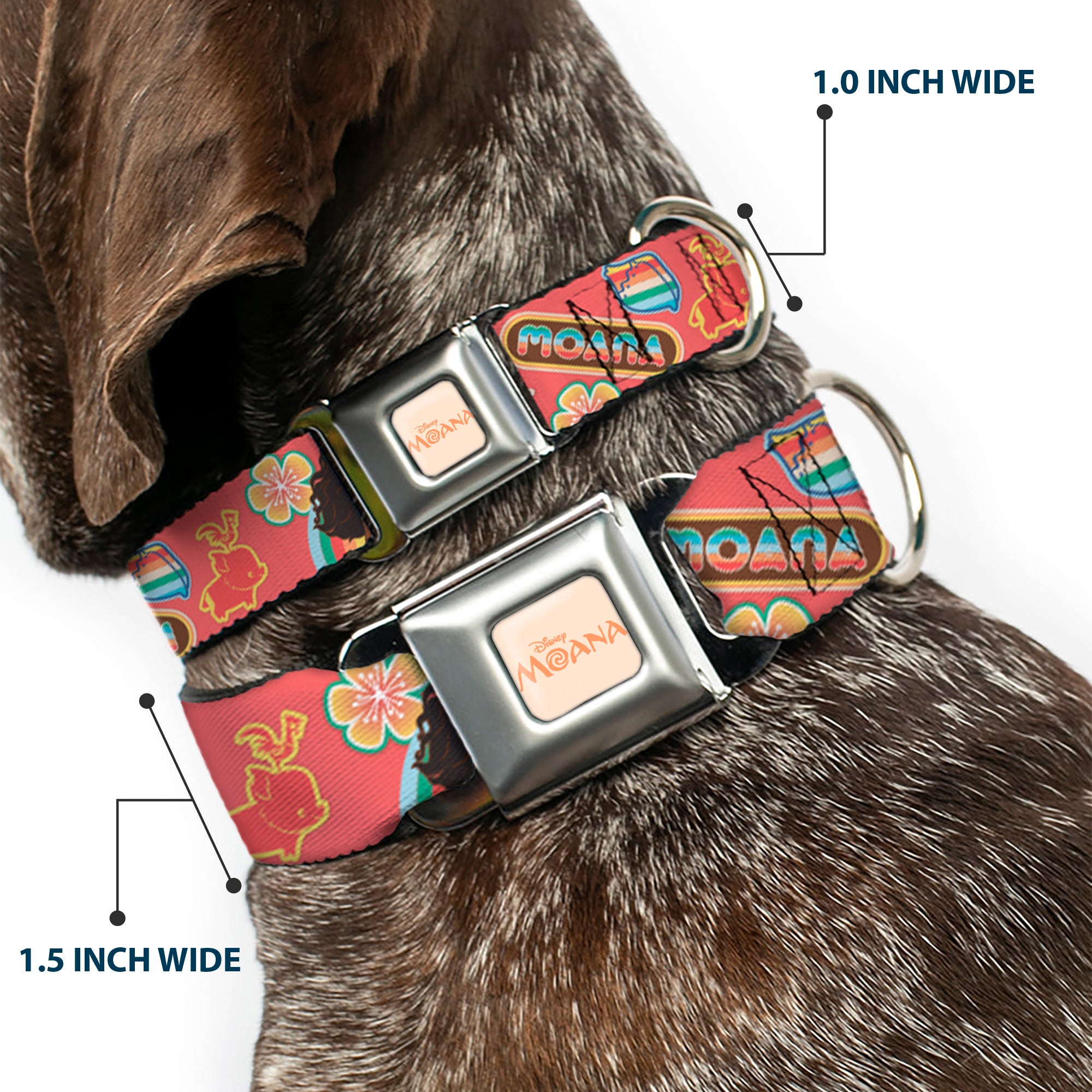 MOANA Title Logo Full Color Beige/Coral Seatbelt Buckle Collar - Moana Pose and Icons Collage Pink Seatbelt Buckle Collars Disney
