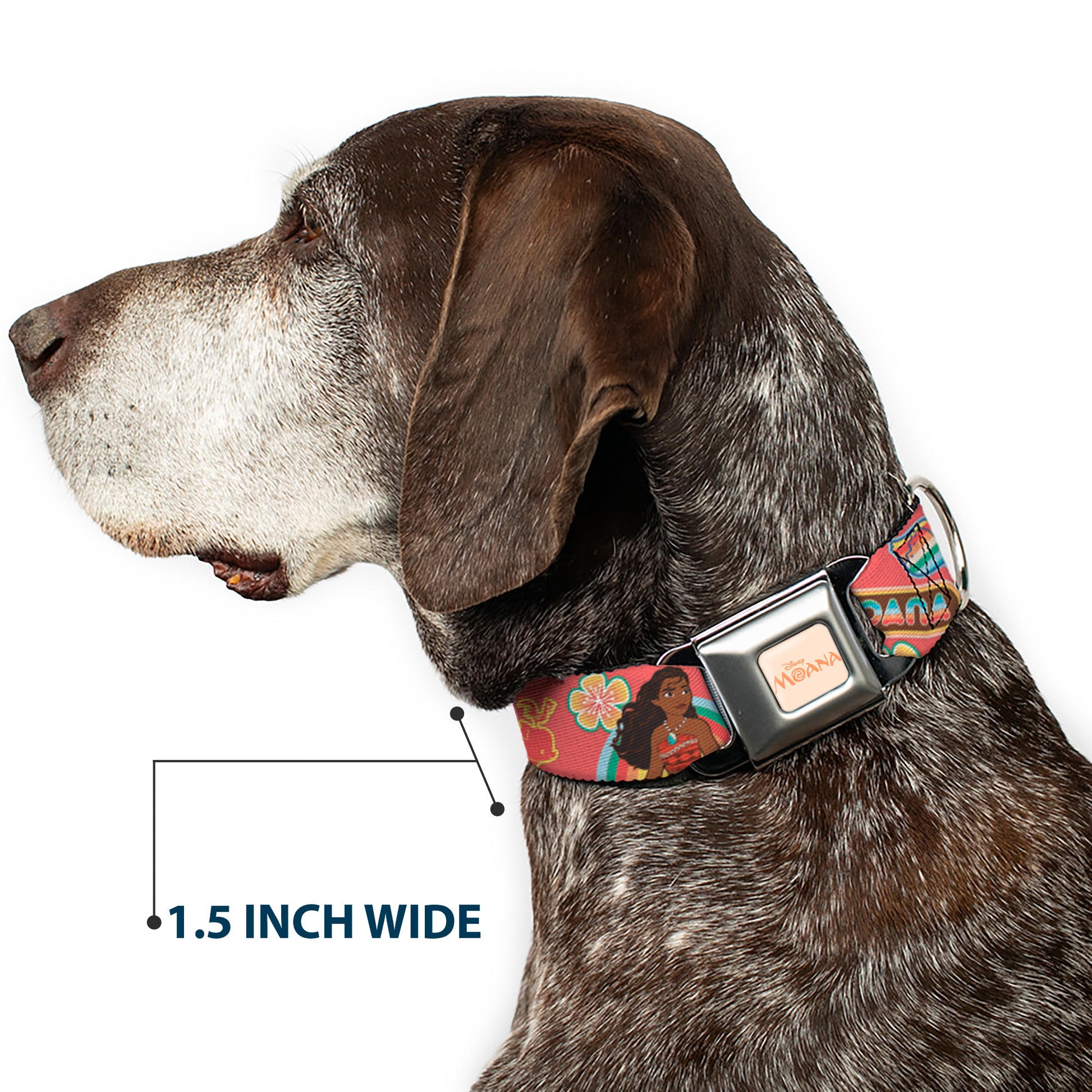 MOANA Title Logo Full Color Beige/Coral Seatbelt Buckle Collar - Moana Pose and Icons Collage Pink Seatbelt Buckle Collars Disney