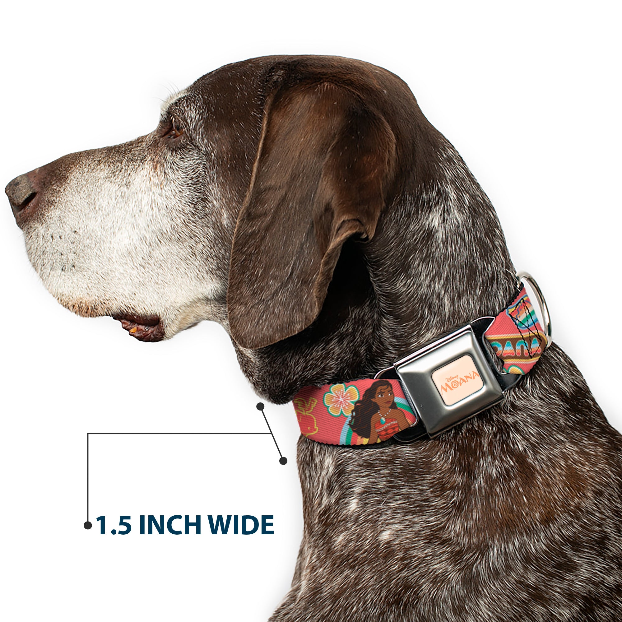 MOANA Title Logo Full Color Beige/Coral Seatbelt Buckle Collar - Moana Pose and Icons Collage Pink Seatbelt Buckle Collars Disney
