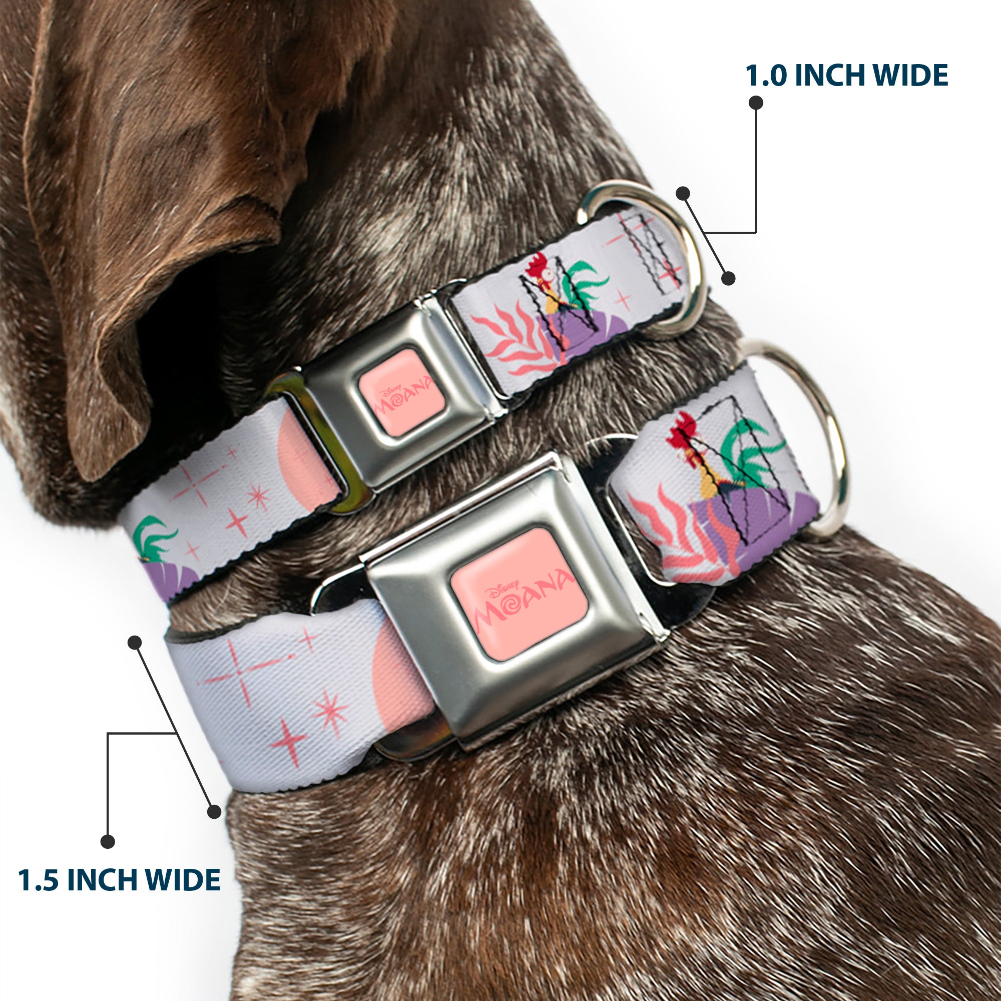 MOANA Title Logo Full Color Pinks Seatbelt Buckle Collar - Moana and Hei Hei Poses with Flowers Beige/Orange Seatbelt Buckle Collars Disney