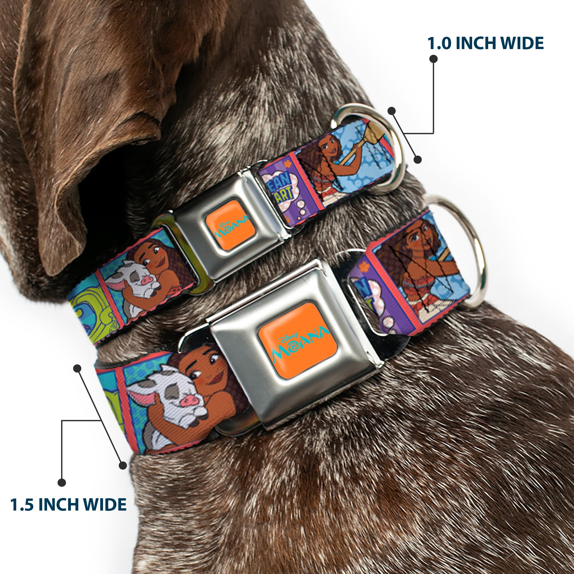 MOANA Title Logo Full Color Orange/Blue Seatbelt Buckle Collar - Moana MAKE WAVES Scene Blocks Blues/Orange Seatbelt Buckle Collars Disney