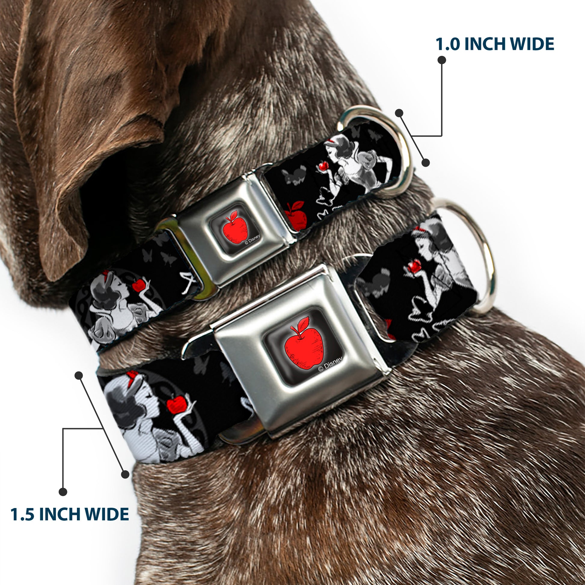 Apple Glow Full Color Black Red Seatbelt Buckle Collar - SNOW WHITE Apple Poses/Butterflies Black/Gray/Red Seatbelt Buckle Collars Disney