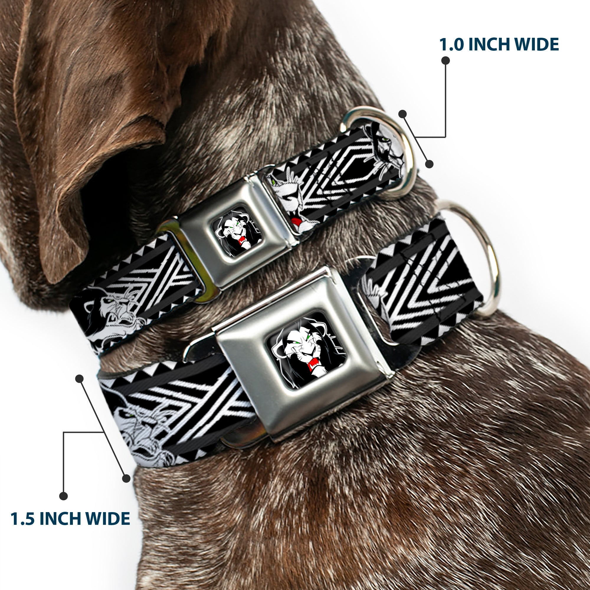 Simba Face Full Color Black/White/Red Seatbelt Buckle Collar - Lion King Scar Poses White/Black Seatbelt Buckle Collars Disney