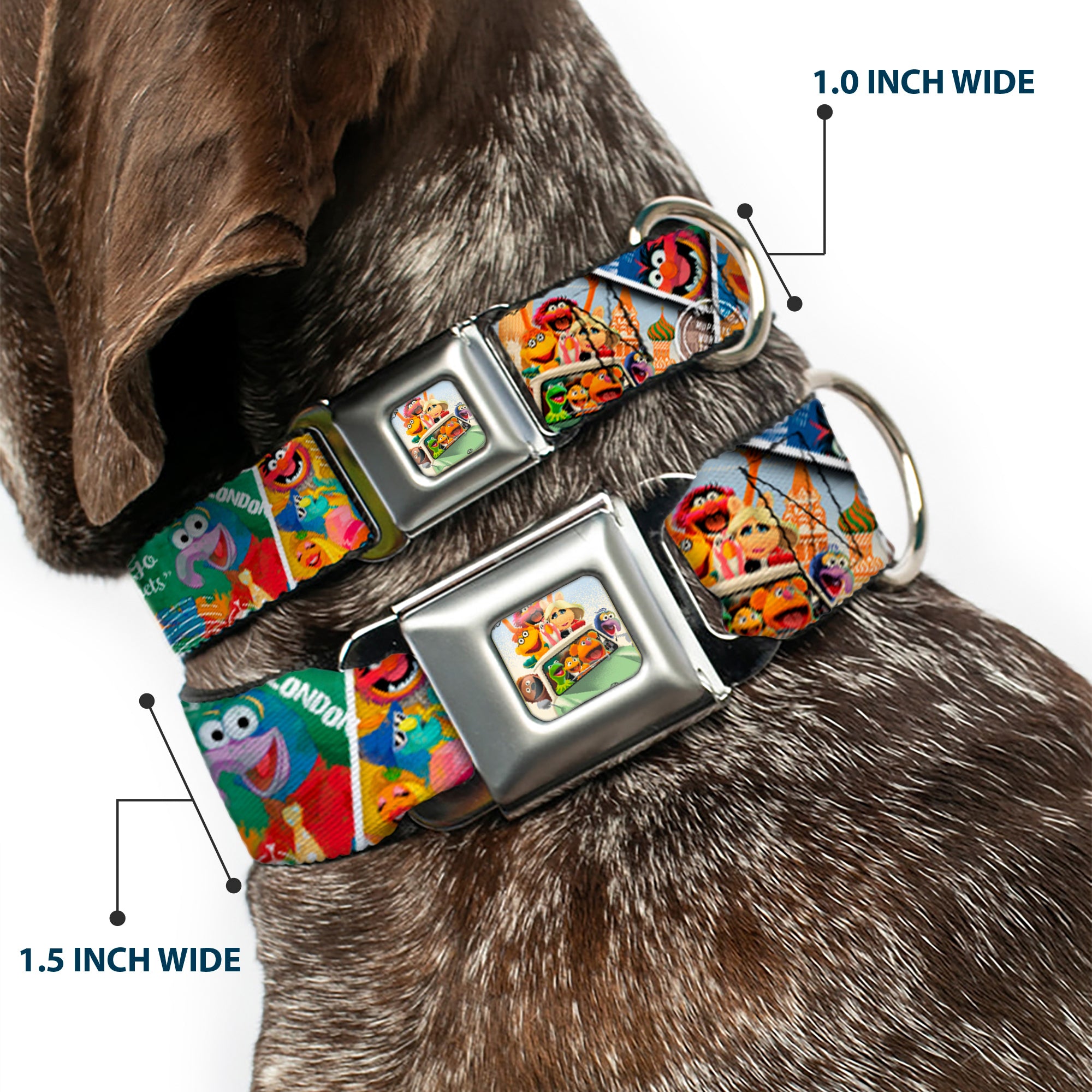 Muppets in Car Full Color Seatbelt Buckle Collar - Muppets Postage Stamps Stacked Seatbelt Buckle Collars Disney