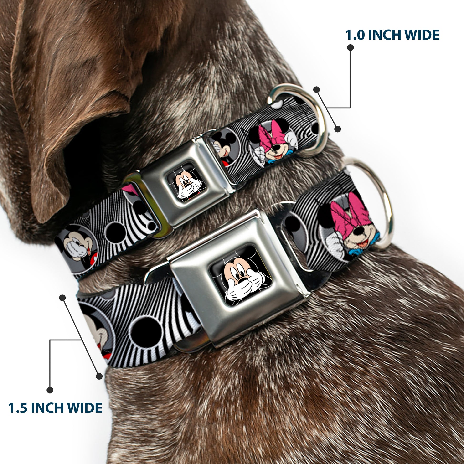 Mickey Mouse Expression3 Full Color Black Seatbelt Buckle Collar - Mickey & Minnie Peek-a-Boo Expressions Swirl Black/White Seatbelt Buckle Collars Disney