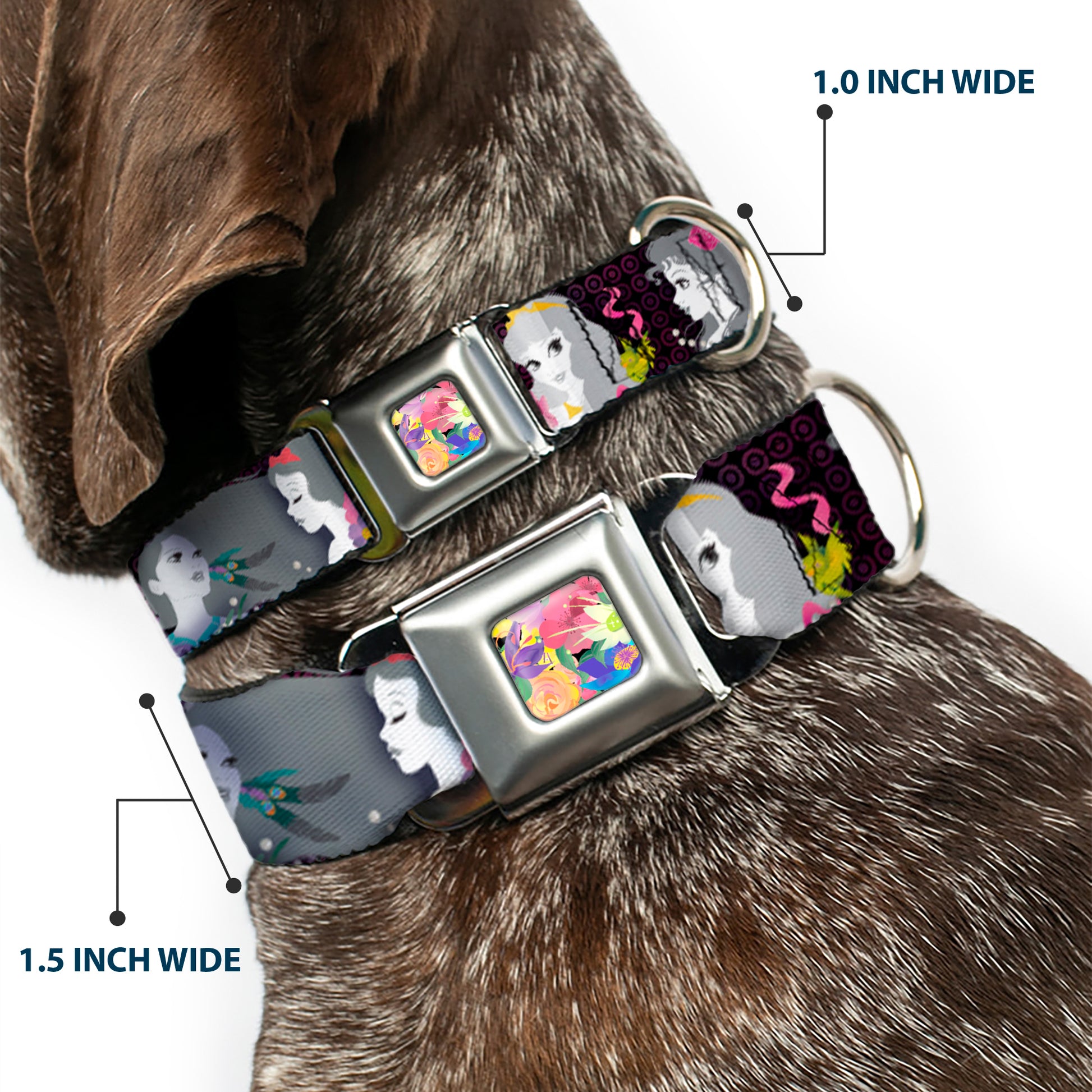 Floral Collage Full Color Multi Pastel Seatbelt Buckle Collar - Princess Silhouettes Dots Black/Purple/Gray/Multi Color Seatbelt Buckle Collars Disney