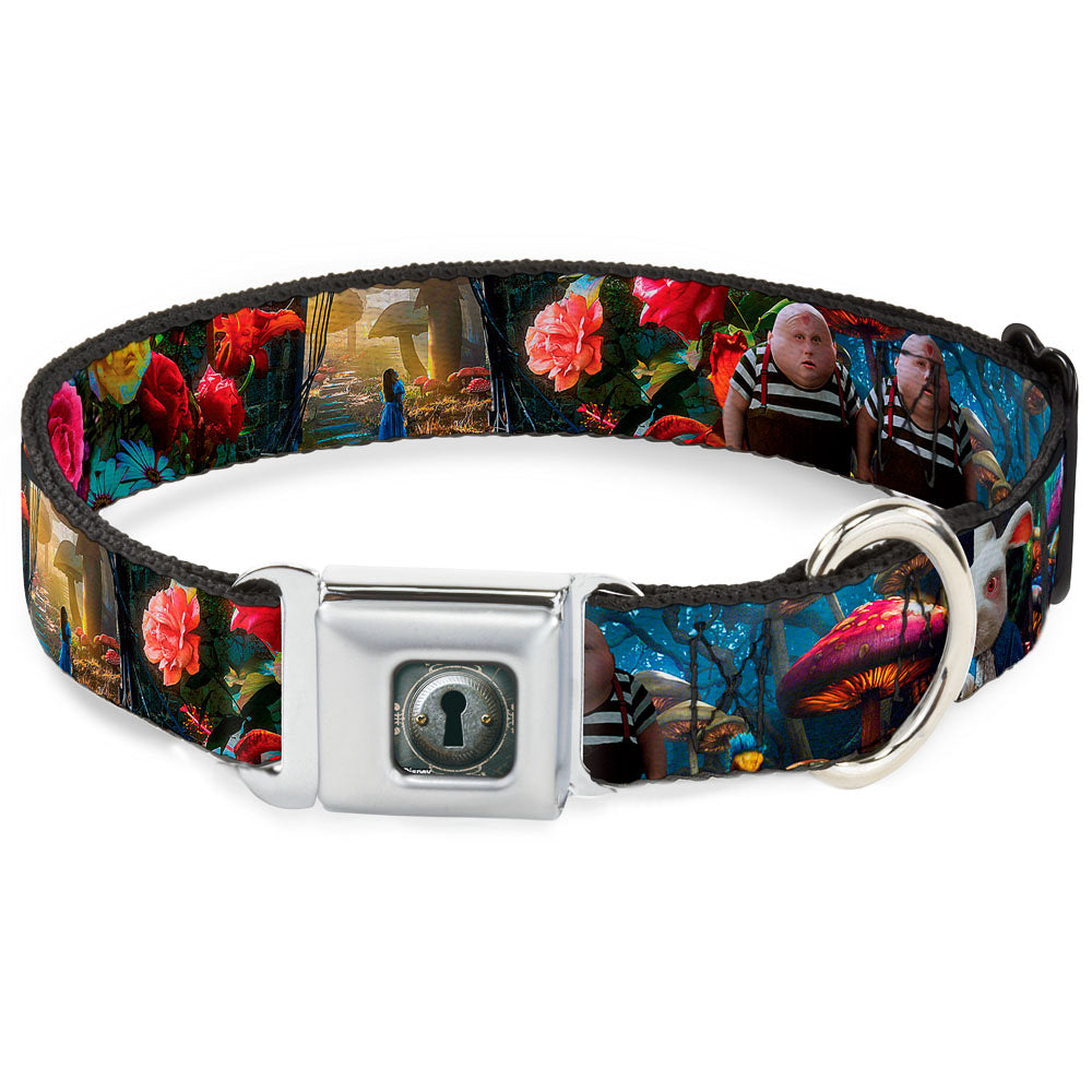Alice Keyhole Full Color Grays Seatbelt Buckle Collar - Alice in Wonderland Movie Encounters Seatbelt Buckle Collars Disney