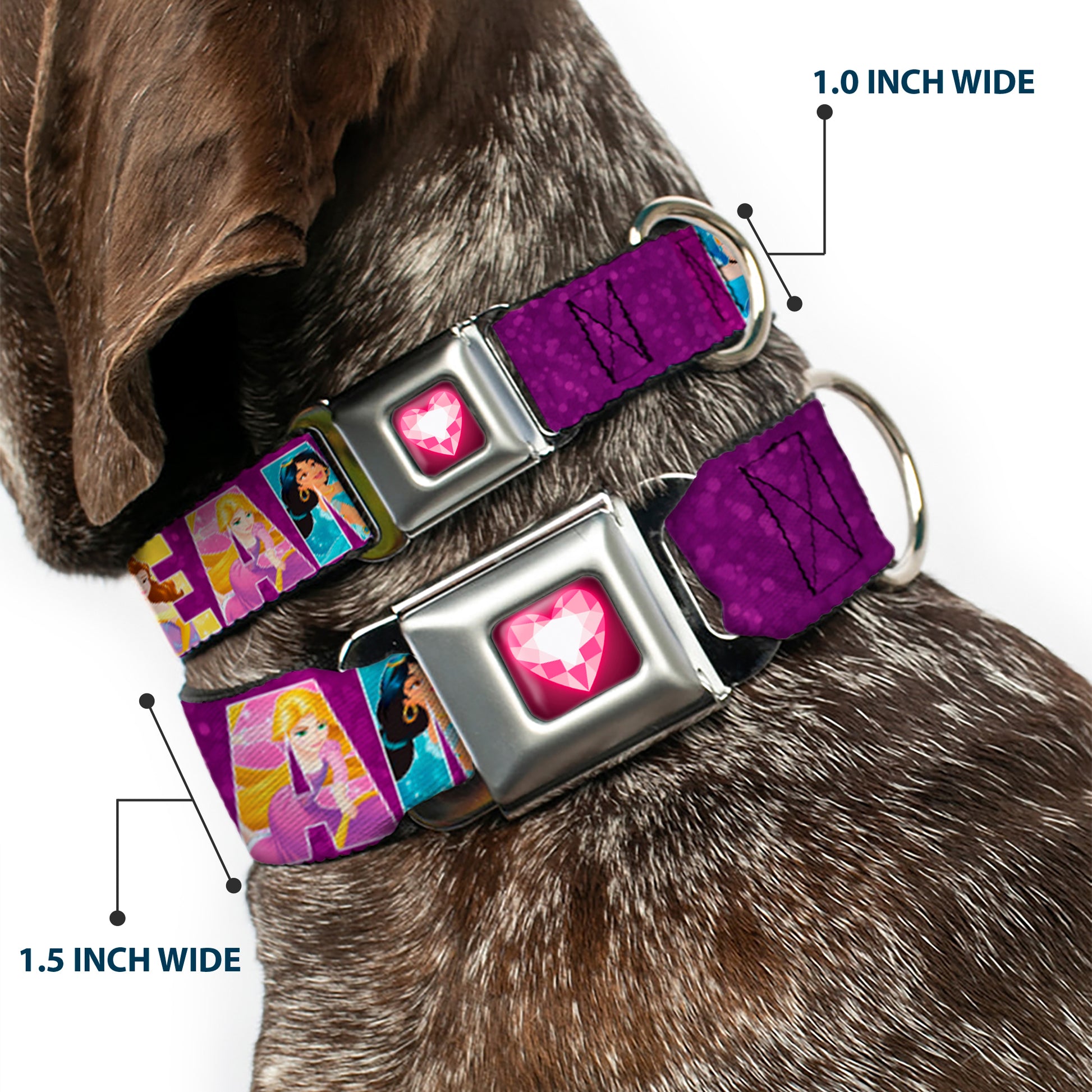 Princess Gem Heart Full Color Black/Pink Seatbelt Buckle Collar - Disney DREAMER 7-Sparkling Princesses/Tiara Purple/White Seatbelt Buckle Collars Disney