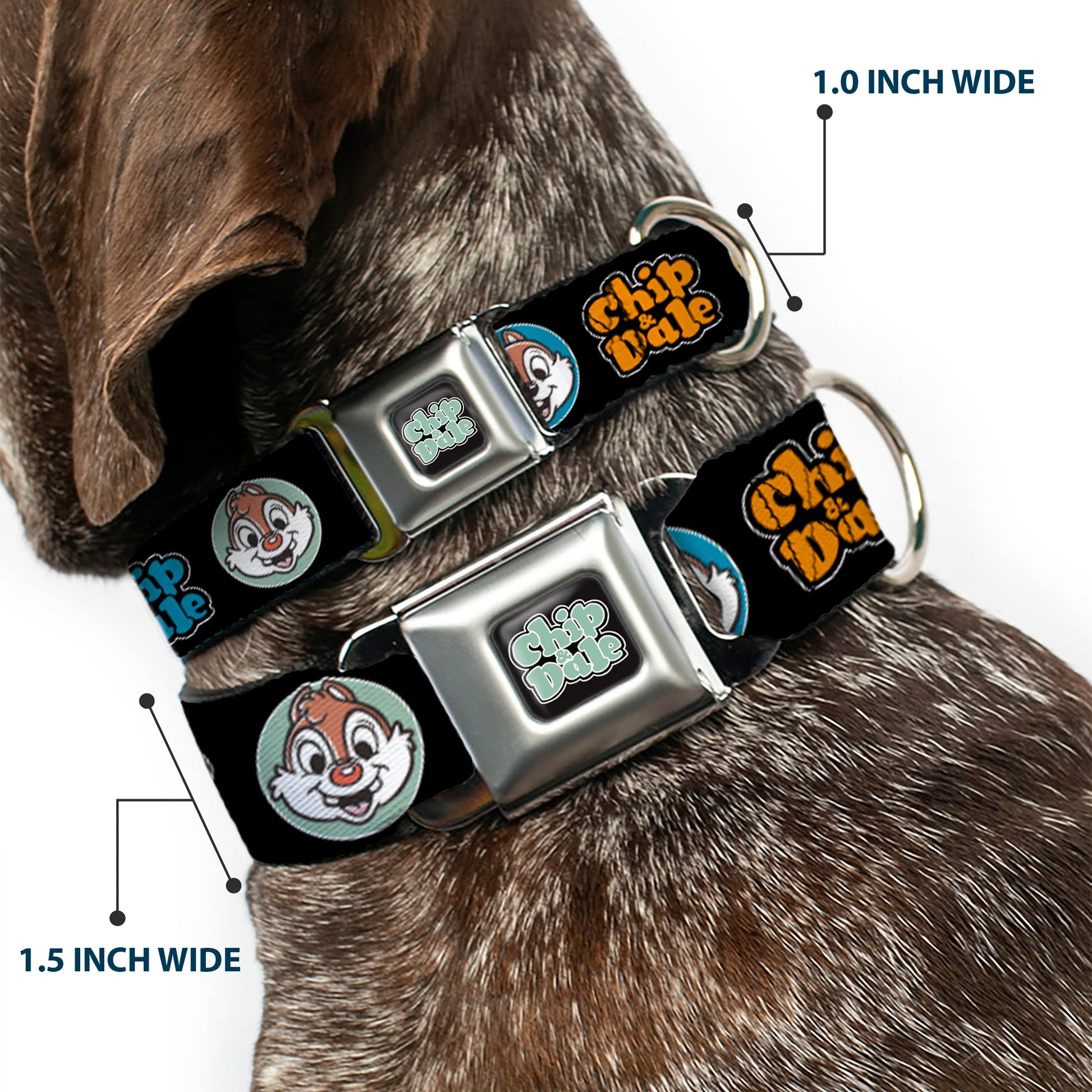CHIP & DALE Text Logo Full Color Black/Gray Seatbelt Buckle Collar - CHIP & DALE Expression Bubbles Black/Multi Color Seatbelt Buckle Collars Disney