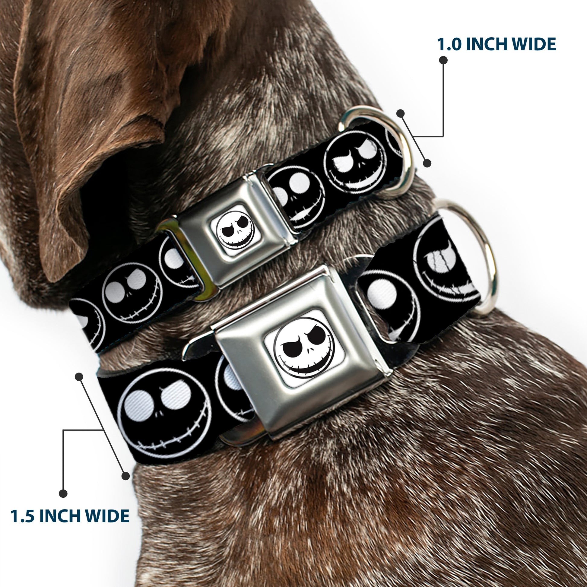 The Nightmare Before Christmas Jack Smiling Full Color White/Black Seatbelt Buckle Collar - The Nightmare Before Christmas Jack 5-Expressions Black/White Seatbelt Buckle Collars Disney