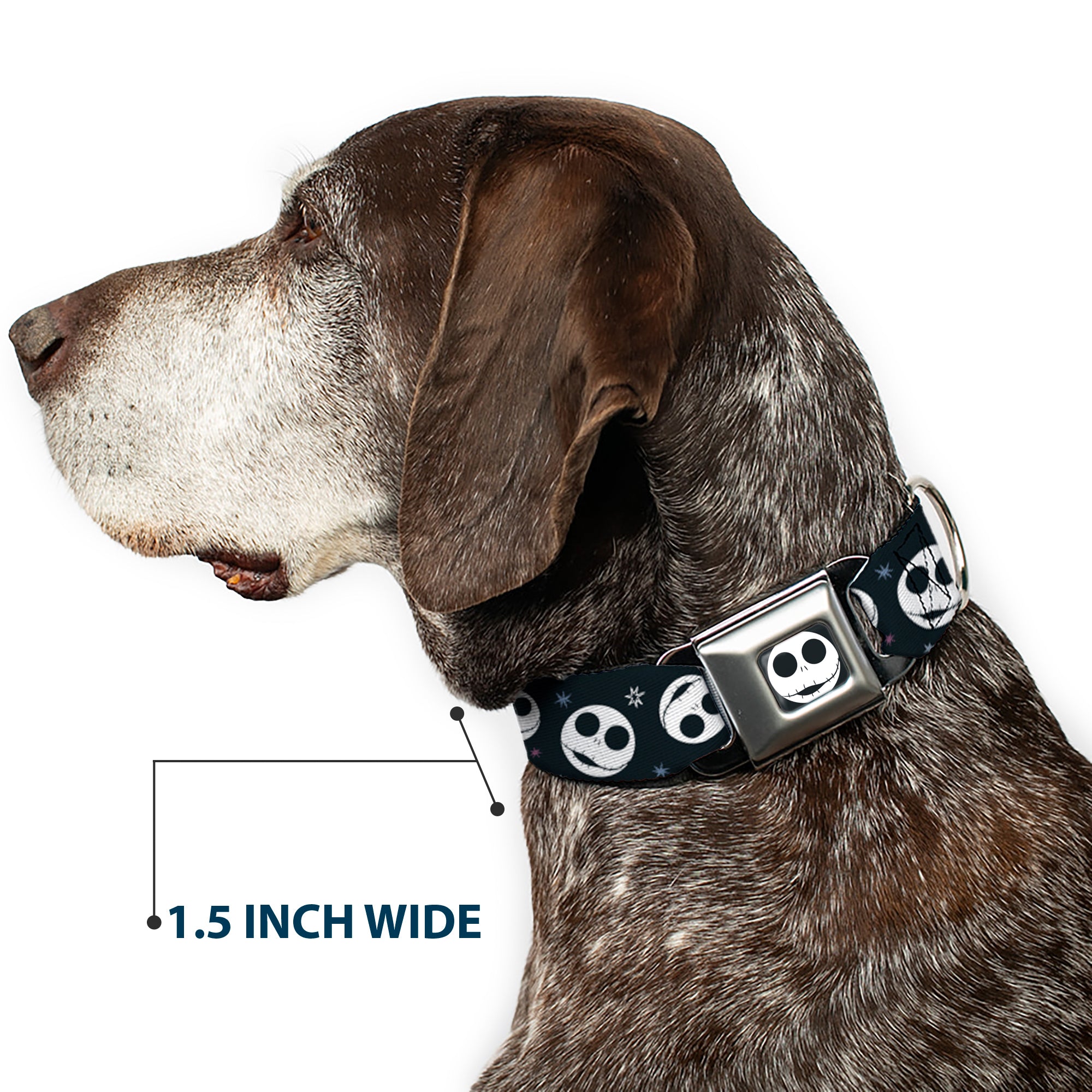 The Nightmare Before Christmas Jack Smiling Full Color Black/White Seatbelt Buckle Collar - The Nightmare Before Christmas Smiling Jack Moon and Stars Black Seatbelt Buckle Collars Disney