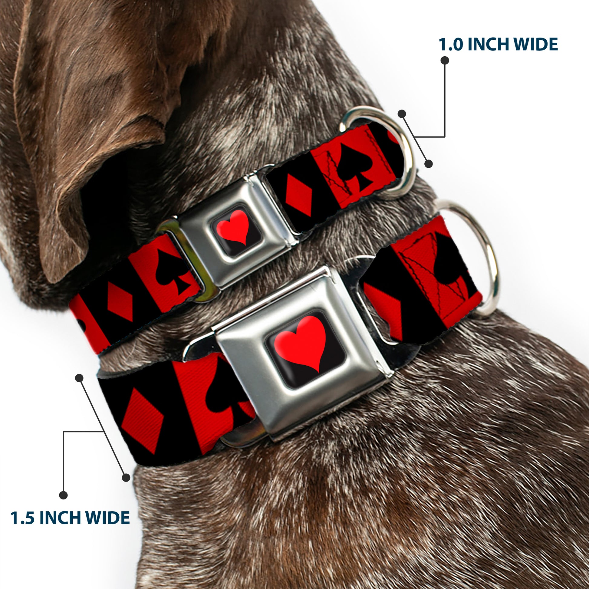 Alice in Wonderland Heart Full Color Black/Red Seatbelt Buckle Collar - Alice in Wonderland Card Suits Red/Black Seatbelt Buckle Collars Disney