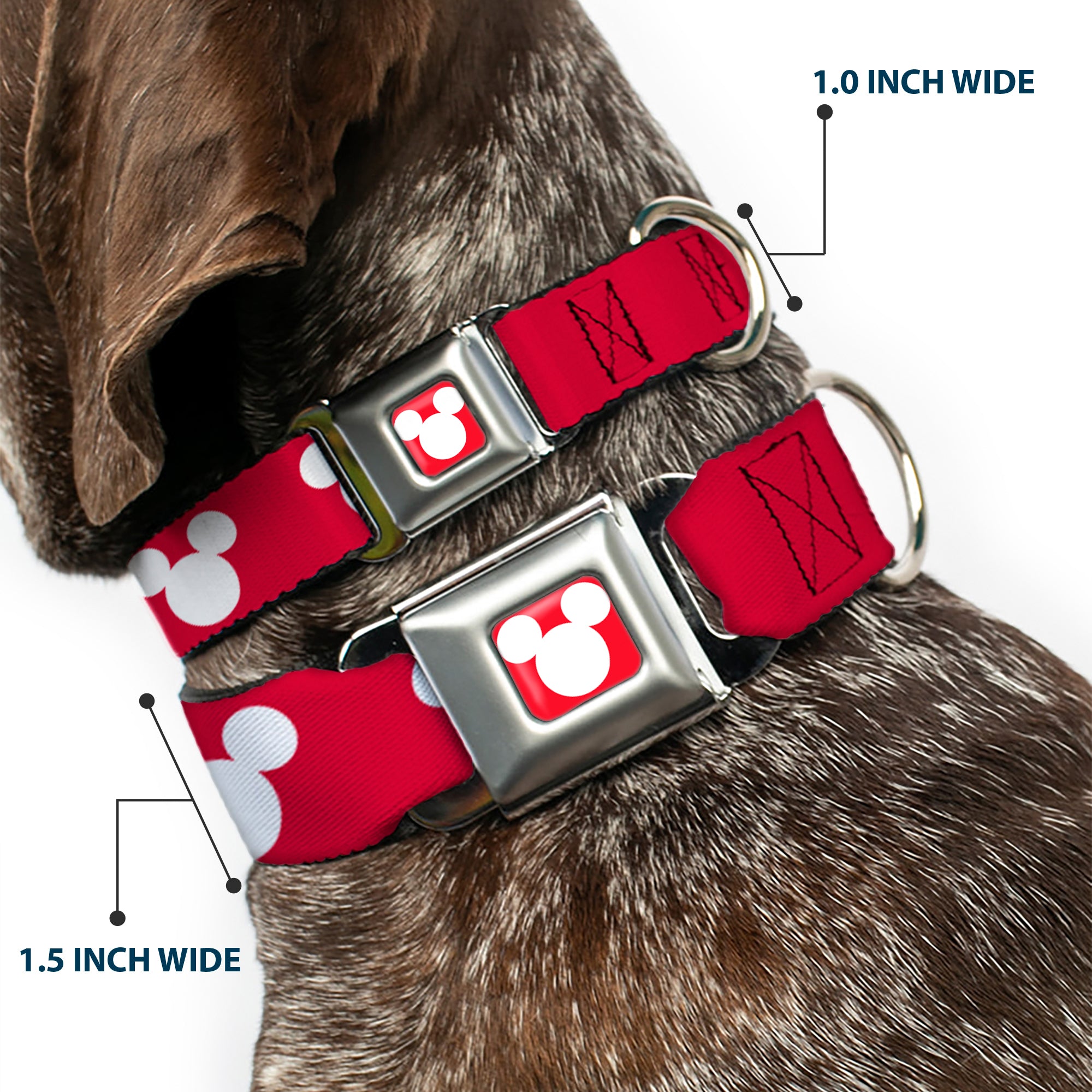Mickey Mouse Ears Icon Full Color Red/White Seatbelt Buckle Collar - Mickey Mouse Ears Icon Red/White Seatbelt Buckle Collars Disney