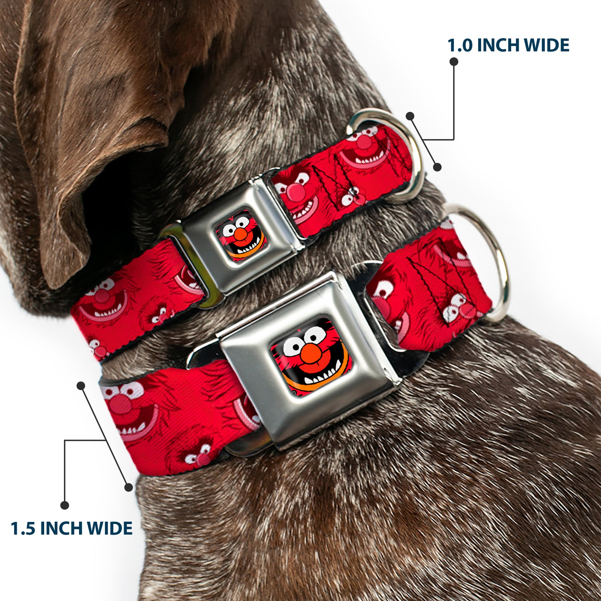 Muppets Animal Face Seatbelt Buckle Dog Collar Seatbelt Buckle Collars Disney
