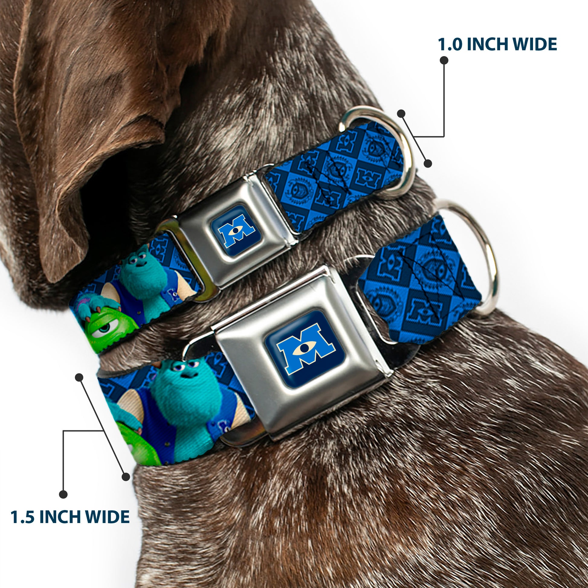 Monsters University Logo Full Color Blue White Seatbelt Buckle Collar - Monsters University Sulley & Mike Poses/Checkers Blue Seatbelt Buckle Collars Disney