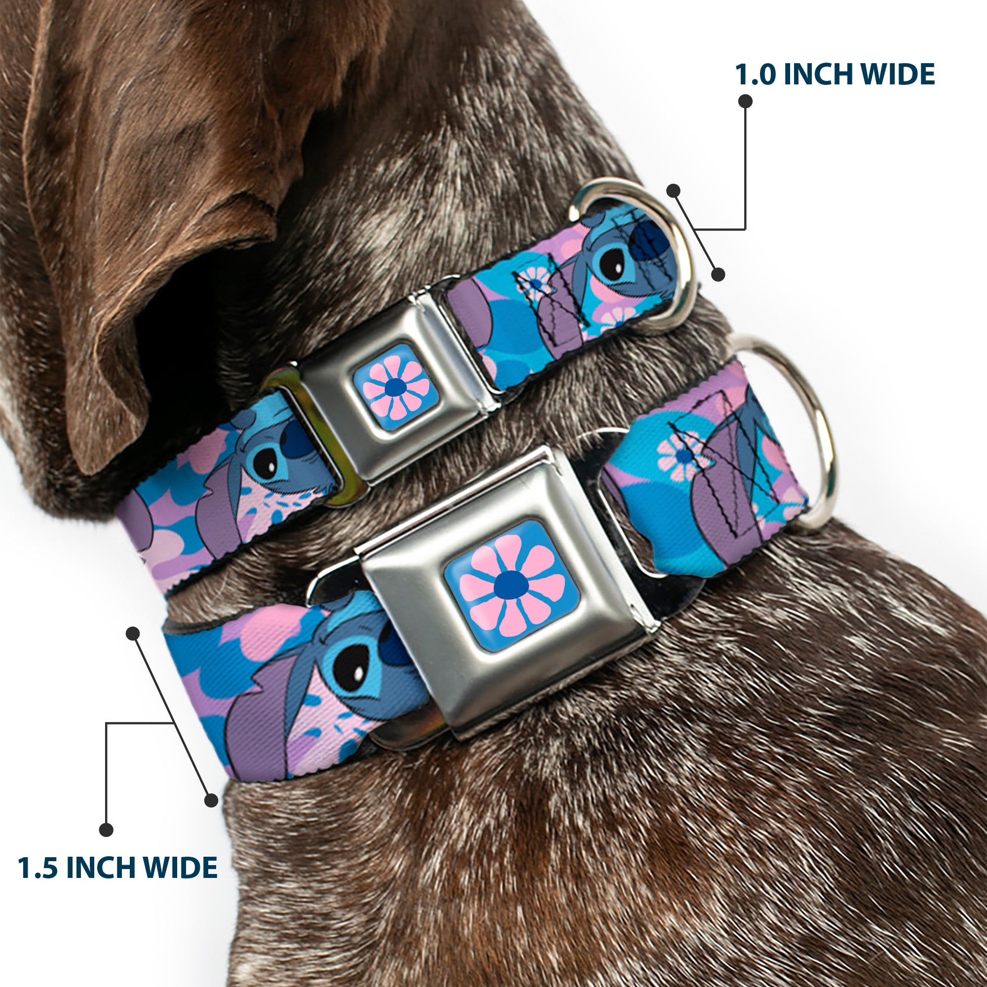 Lilo & Stitch Flower Full Color Blues/Pink Seatbelt Buckle Collar - Lilo & Stitch Stitch Flip Expressions Close-Up Blues/Pinks Seatbelt Buckle Collars Disney