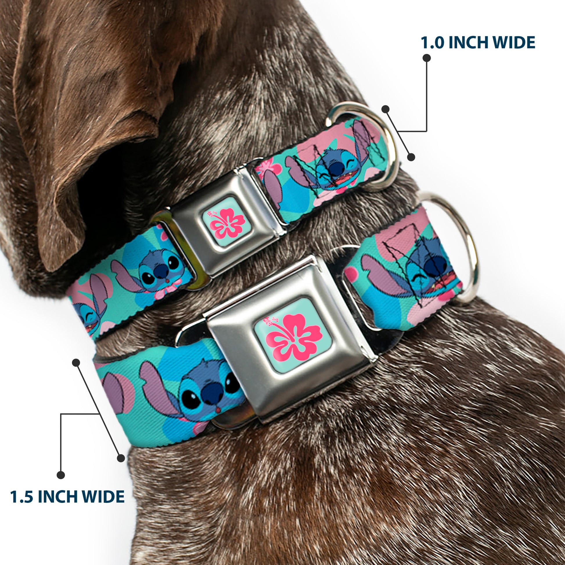 Lilo & Stitch Flower Full Color Blue/Pink Seatbelt Buckle Collar - Lilo & Stitch Stitch Expressions and Tropical Flowers Blues/Pinks Seatbelt Buckle Collars Disney
