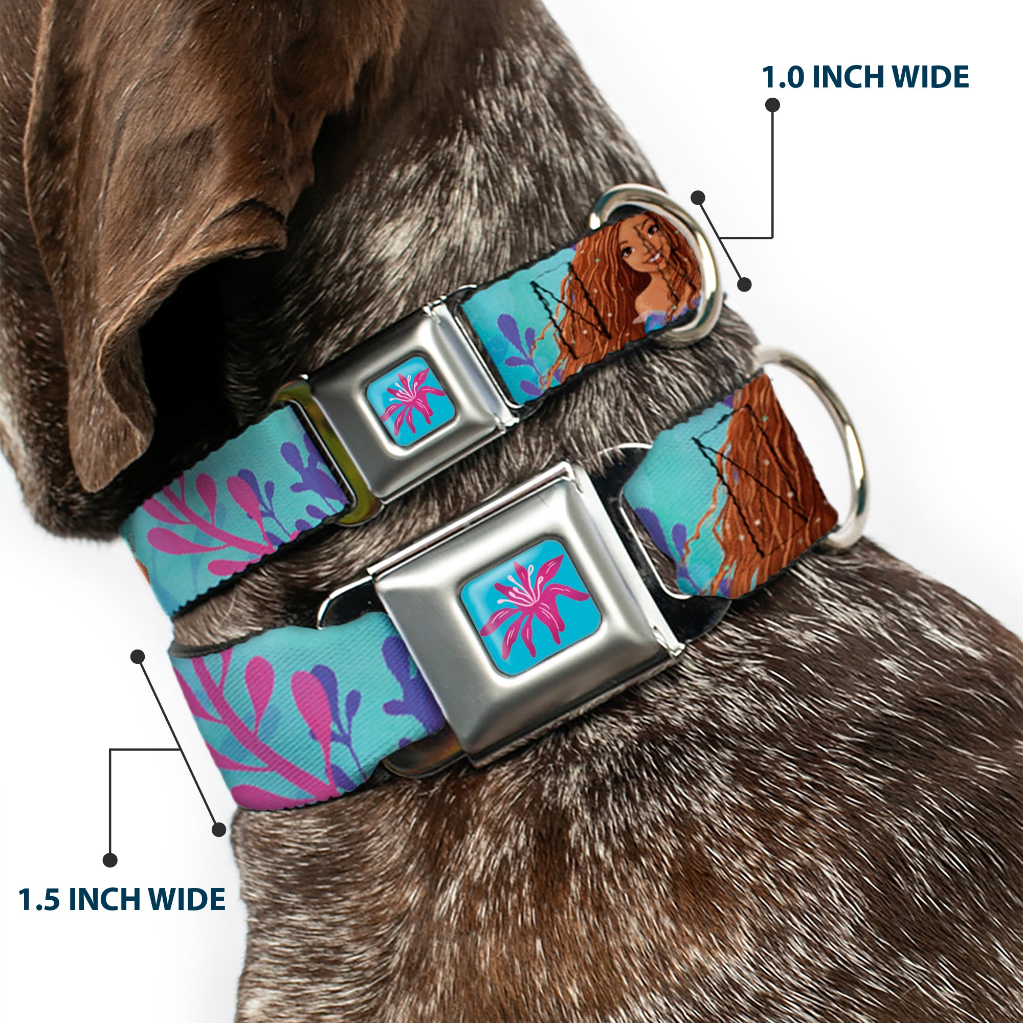 The Little Mermaid Sea Flower Full Color Blue/Purple Seatbelt Buckle Collar - The Little Mermaid Live Action Ariel Under the Sea Poses Blues Seatbelt Buckle Collars Disney