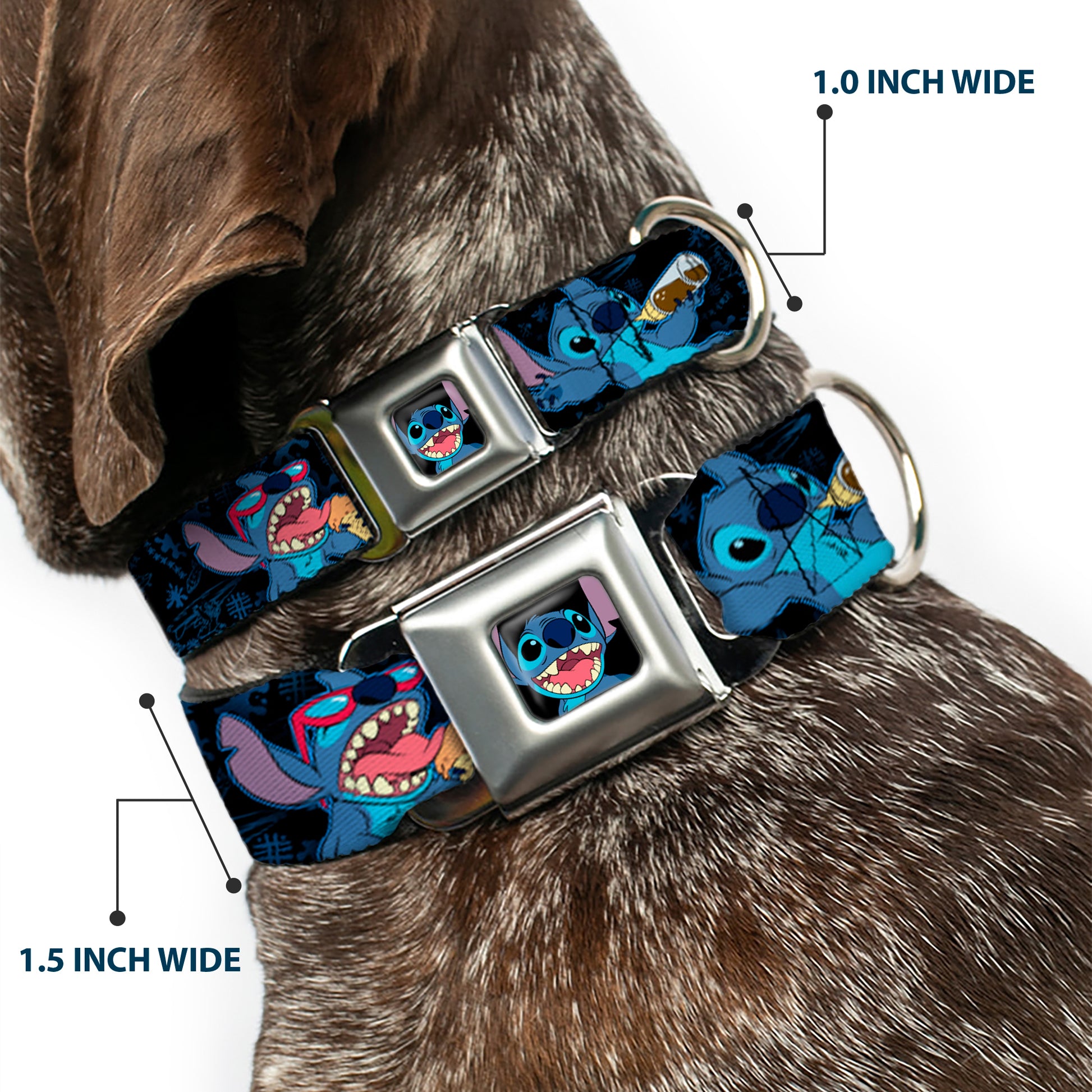 Stitch Smiling CLOSE-UP Full Color Black Seatbelt Buckle Collar - Stitch Snacking Poses Black/Blue Seatbelt Buckle Collars Disney