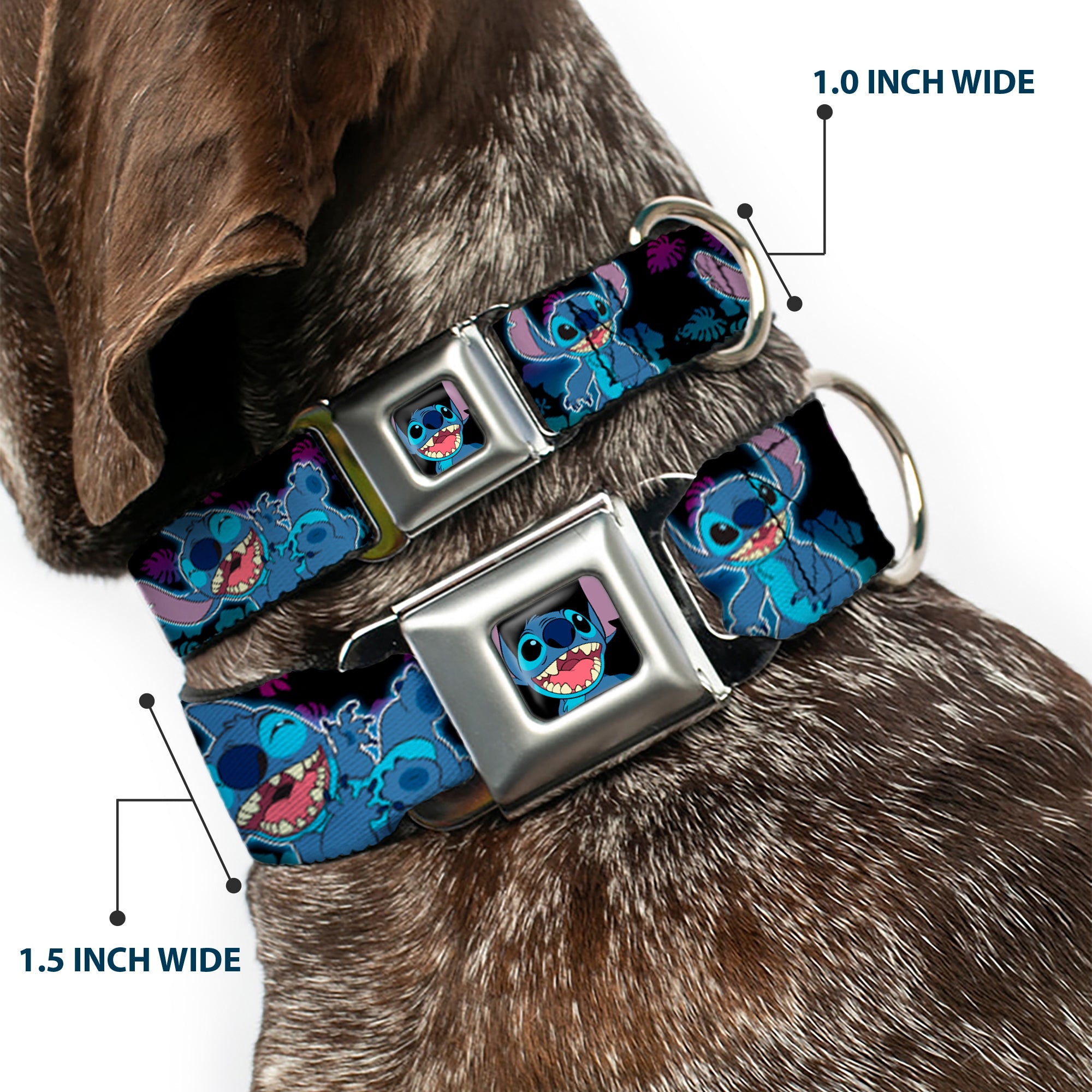 Stitch Smiling CLOSE-UP Full Color Seatbelt Buckle Collar - Stitch 2-Expressions/2-Poses Tropical Flora Black/Purple-Blue Fade Seatbelt Buckle Collars Disney