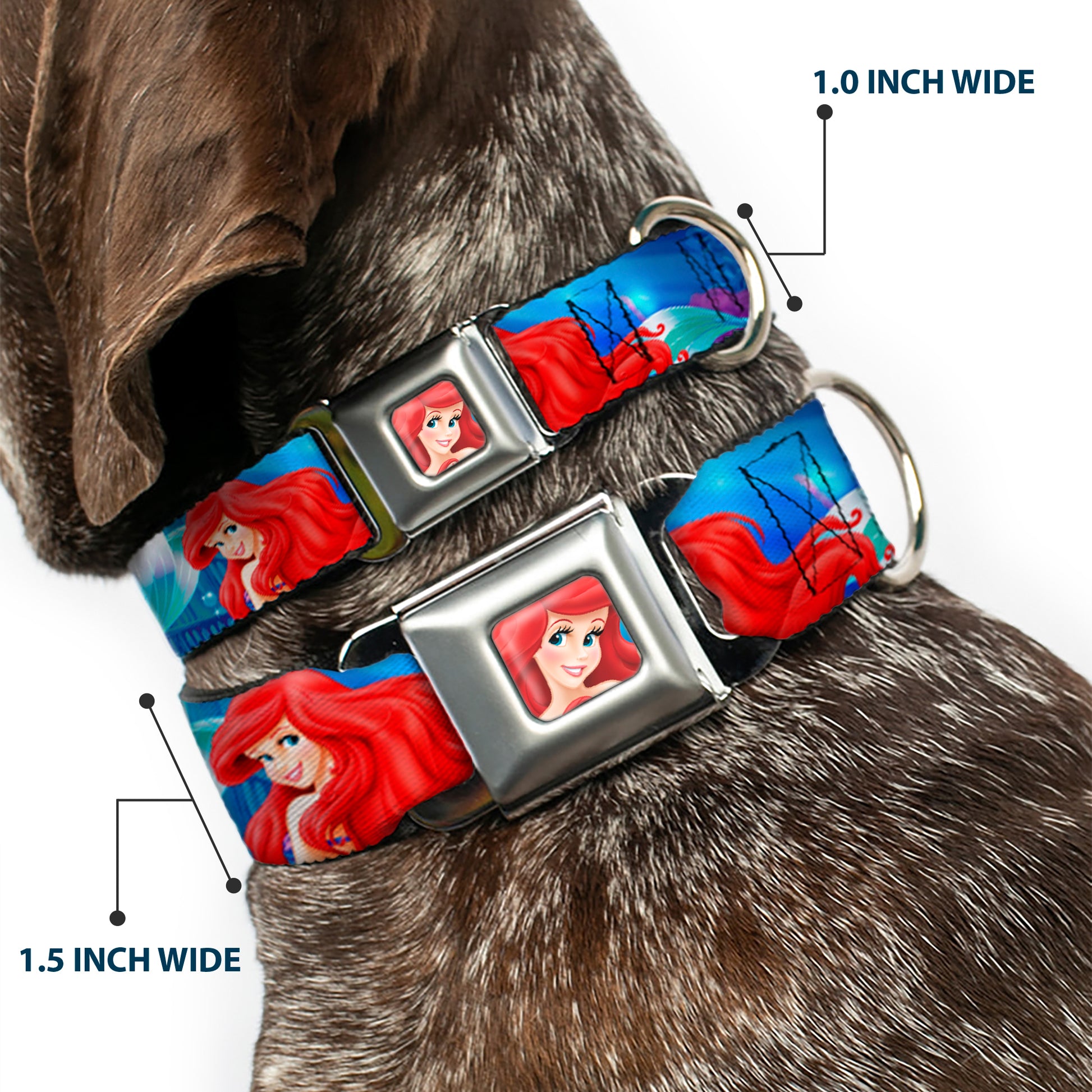 Ariel Face3 Full Color Blue Seatbelt Buckle Collar - Ariel Vivid Underwater Sparkle Poses/Castle Seatbelt Buckle Collars Disney