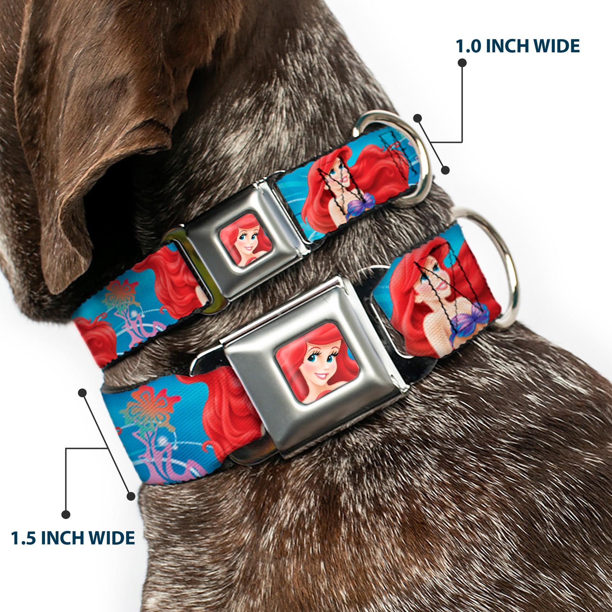 Ariel Face3 Full Color Blue Seatbelt Buckle Collar - Ariel & Flounder Vivid Underwater Poses Seatbelt Buckle Collars Disney