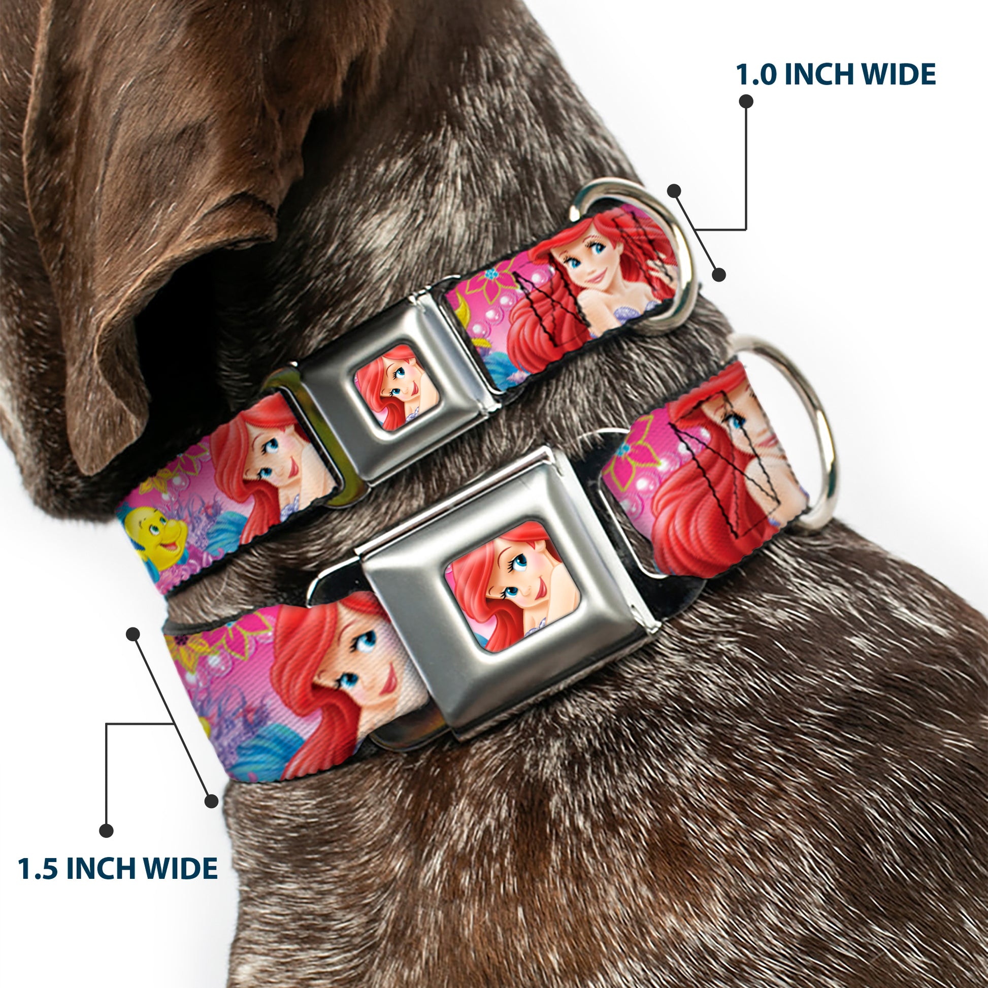 Ariel Face4 Full Color Pink Blue Seatbelt Buckle Collar - Ariel/Flounder/Fish Trio Poses Pinks Seatbelt Buckle Collars Disney