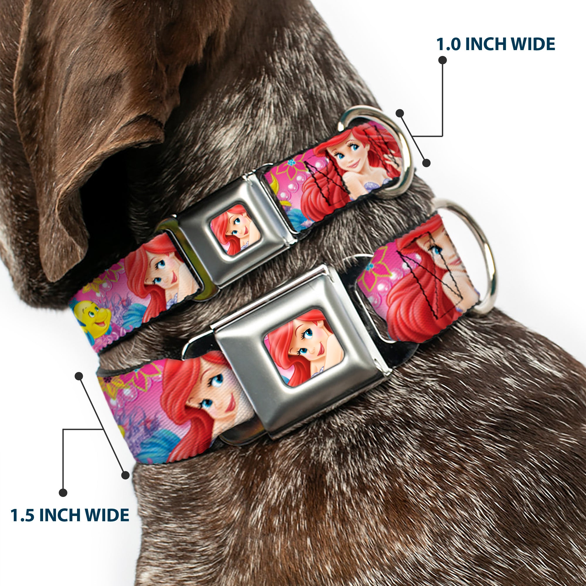Ariel Face4 Full Color Pink Blue Seatbelt Buckle Collar - Ariel/Flounder/Fish Trio Poses Pinks Seatbelt Buckle Collars Disney