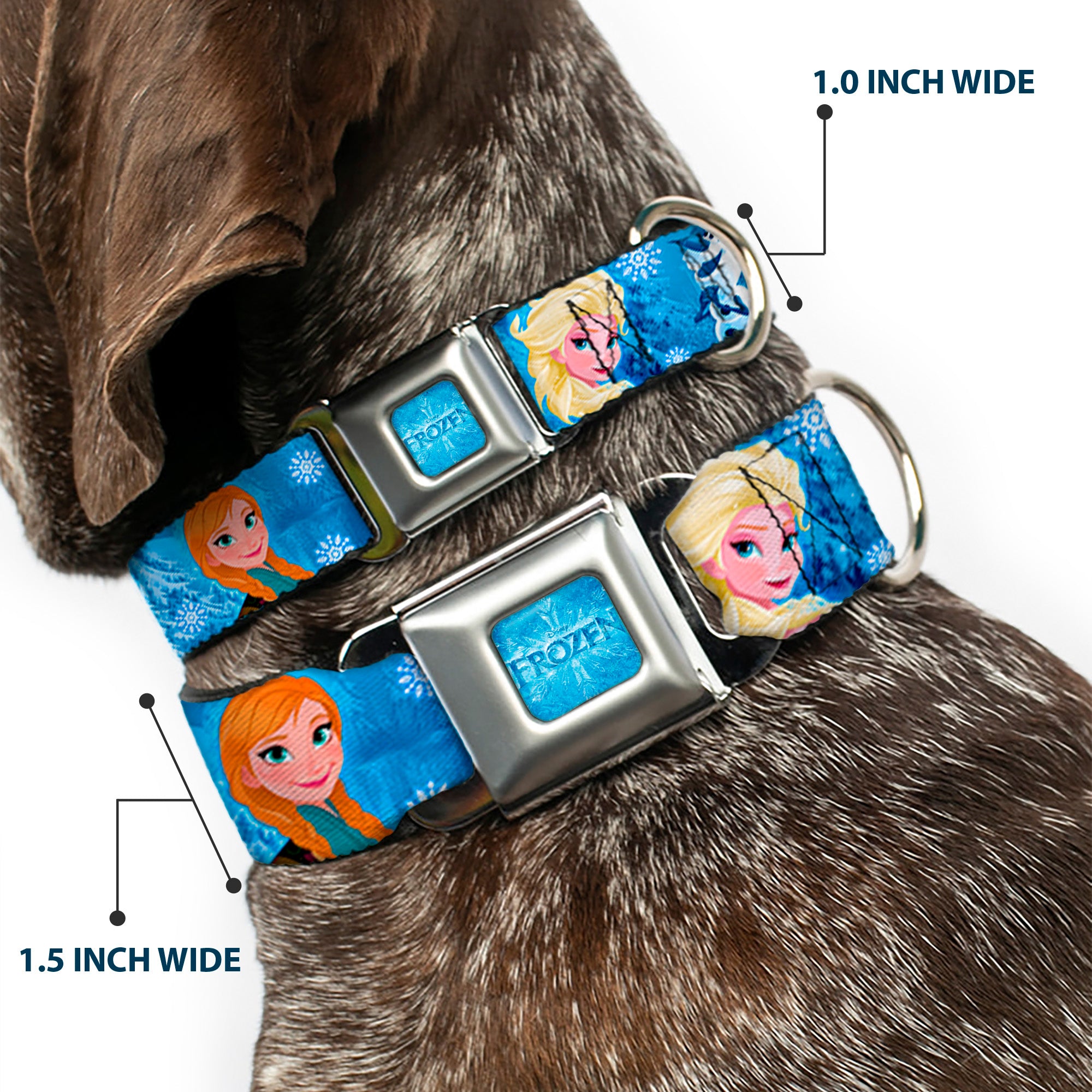 FROZEN Logo Full Color Blues Seatbelt Buckle Collar - Frozen Character Poses Blues Seatbelt Buckle Collars Disney