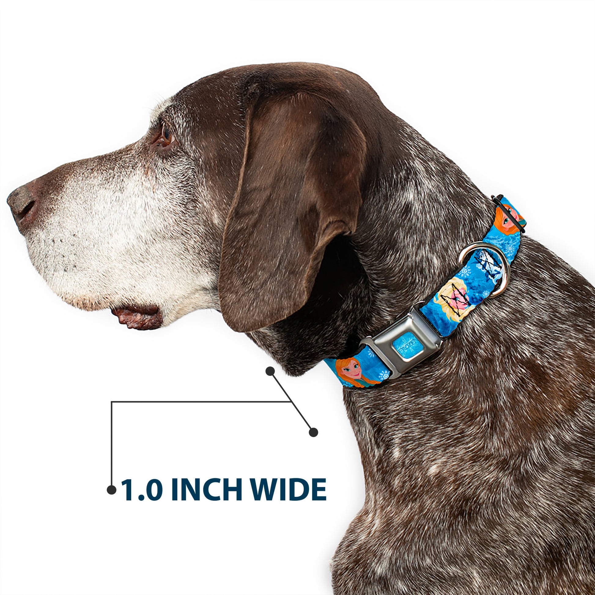 FROZEN Logo Full Color Blues Seatbelt Buckle Collar - Frozen Character Poses Blues Seatbelt Buckle Collars Disney