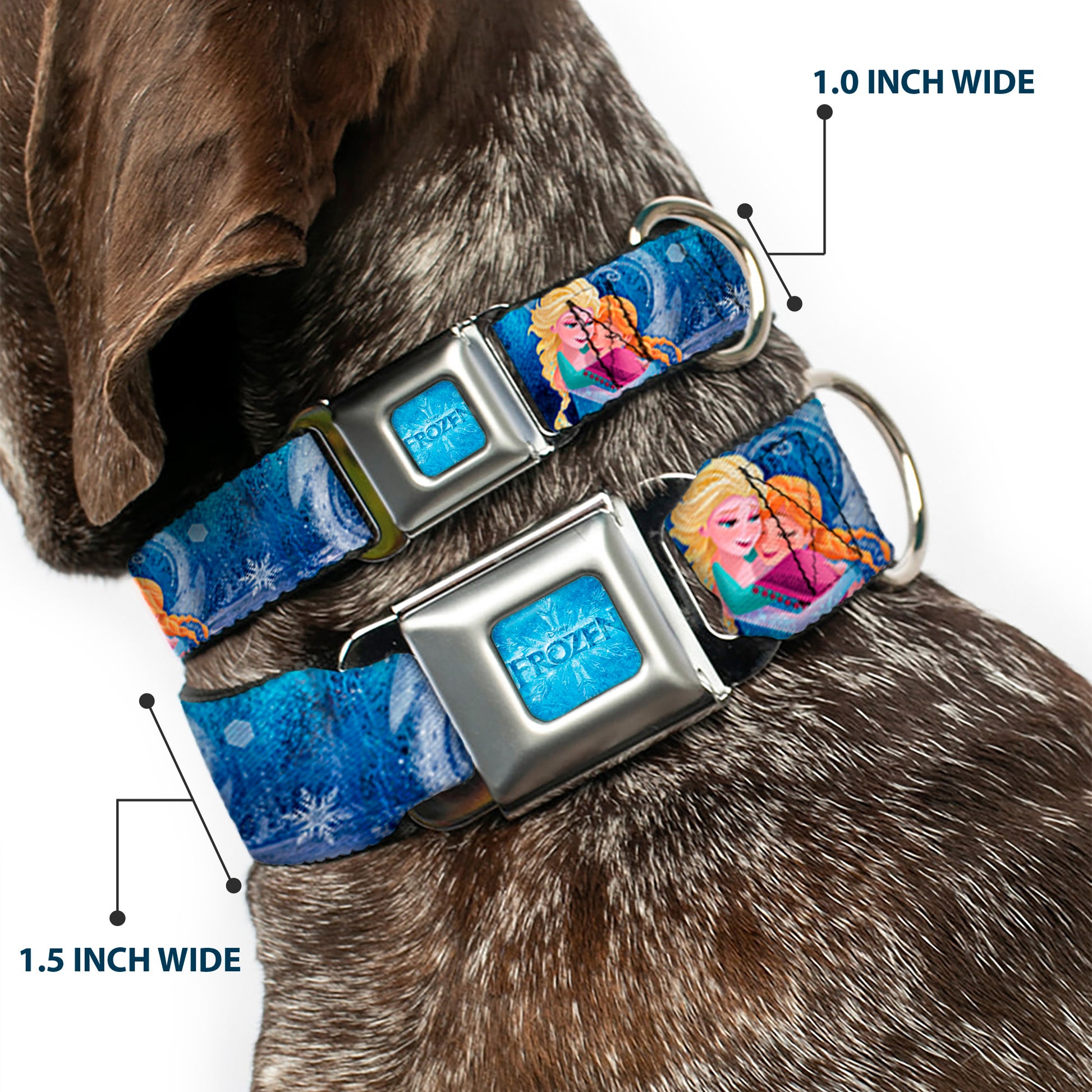 FROZEN Logo Full Color Blues Seatbelt Buckle Collar - Frozen Elsa the Snow Queen Poses/Snowflakes Seatbelt Buckle Collars Disney