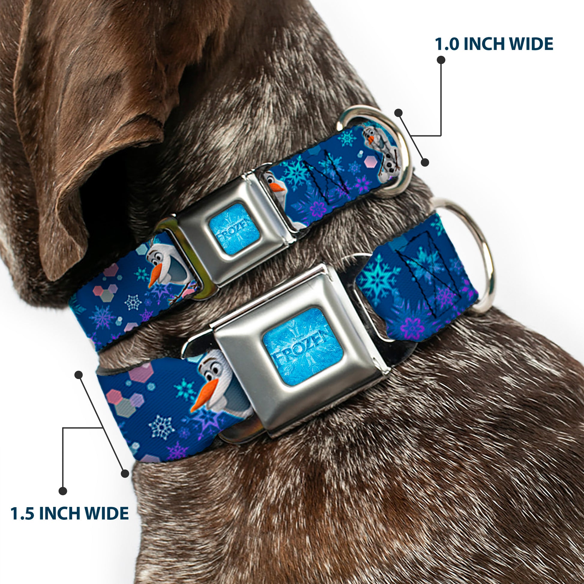 FROZEN Logo Full Color Blues Seatbelt Buckle Collar - Frozen Olaf Poses/Snowflakes Blues Seatbelt Buckle Collars Disney