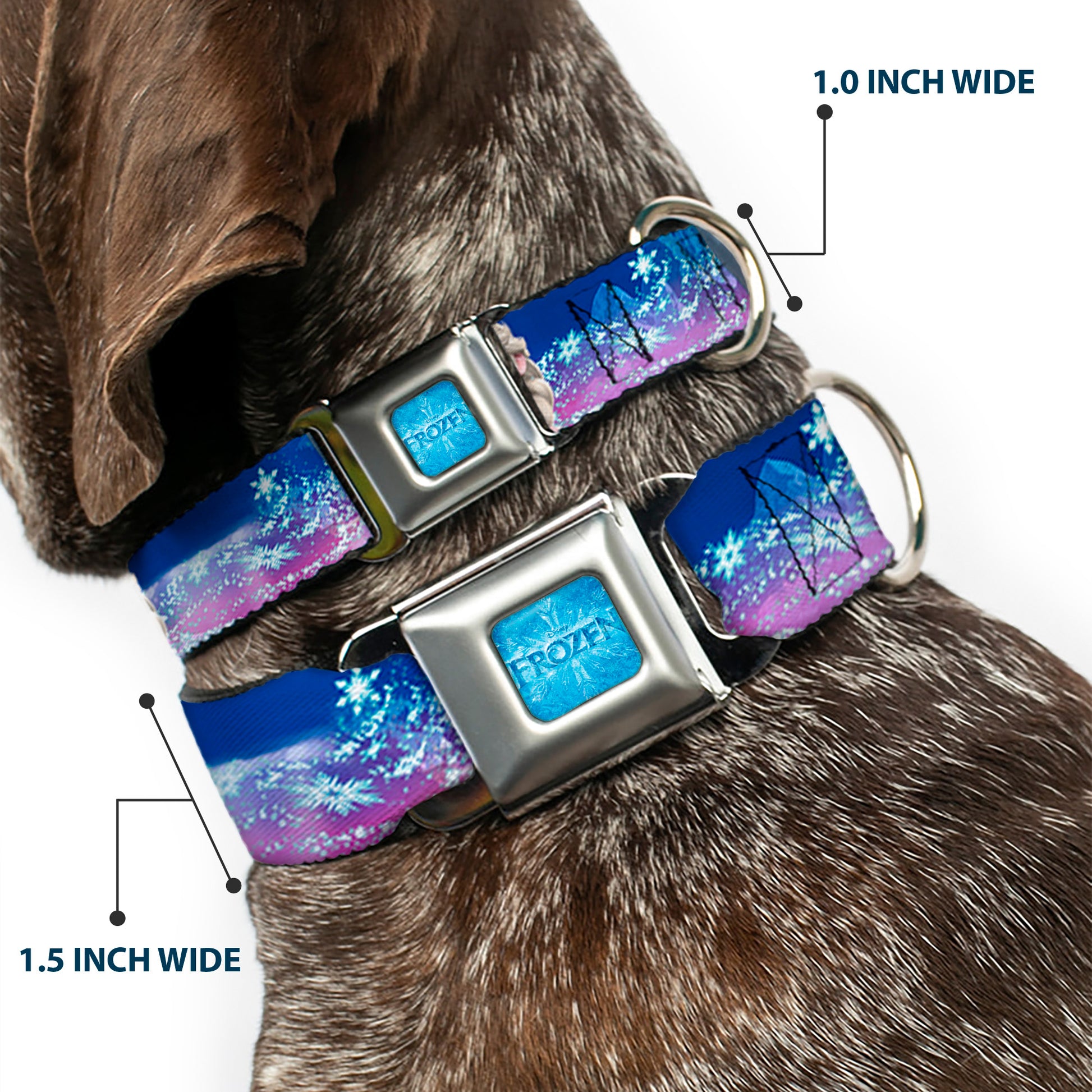 FROZEN Logo Full Color Blues Seatbelt Buckle Collar - Elsa the Snow Queen Poses/Castle & Snowy Mountains Blue-Pink Fade Seatbelt Buckle Collars Disney