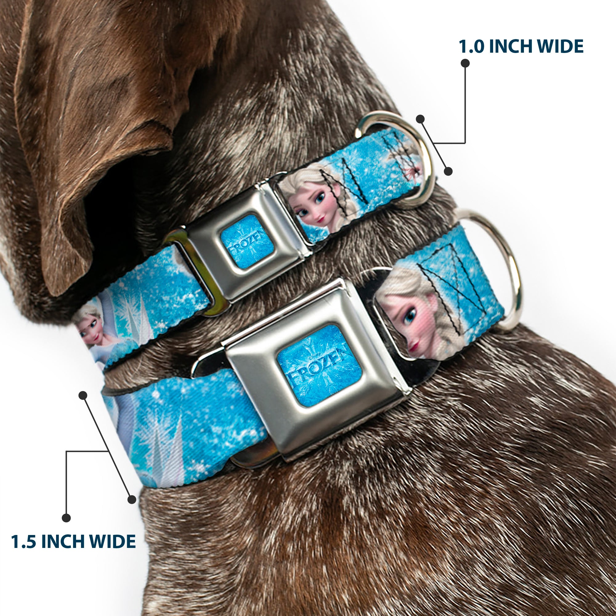 FROZEN Logo Full Color Blues Seatbelt Buckle Collar - Frozen Elsa Face/Action Pose/Snowflakes Blues/White Seatbelt Buckle Collars Disney