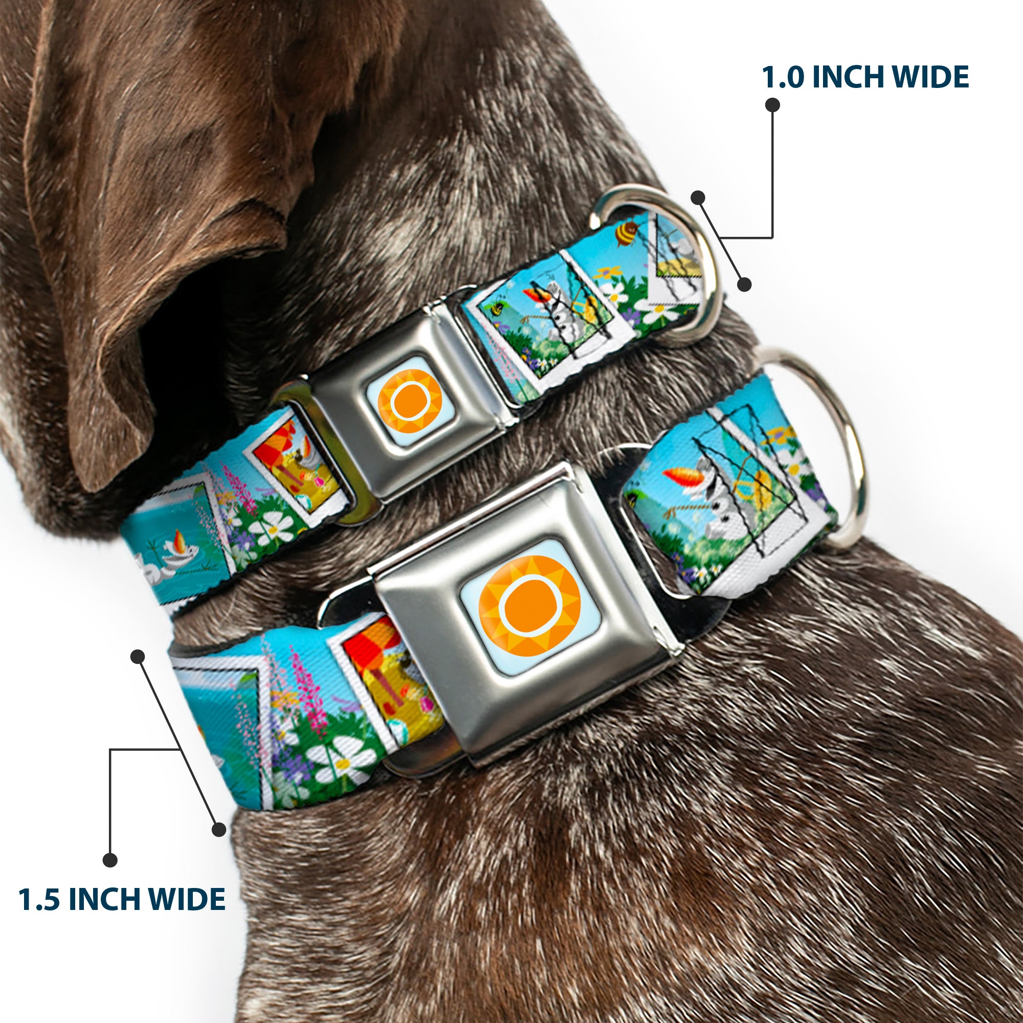 Frozen Sun Full Color Blue/Yellows Seatbelt Buckle Collar - Olaf Summertime Snapshots Seatbelt Buckle Collars Disney