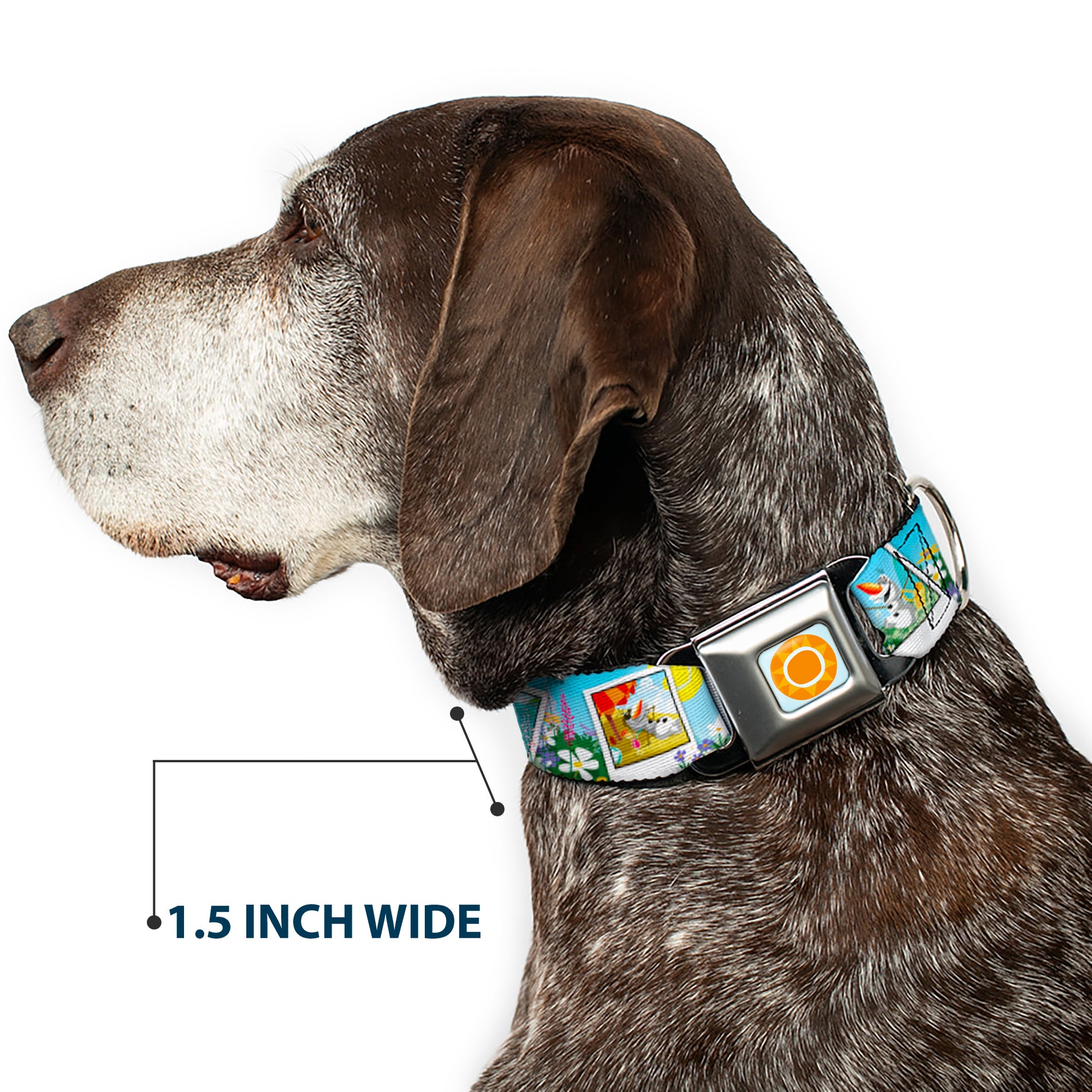 Frozen Sun Full Color Blue/Yellows Seatbelt Buckle Collar - Olaf Summertime Snapshots Seatbelt Buckle Collars Disney